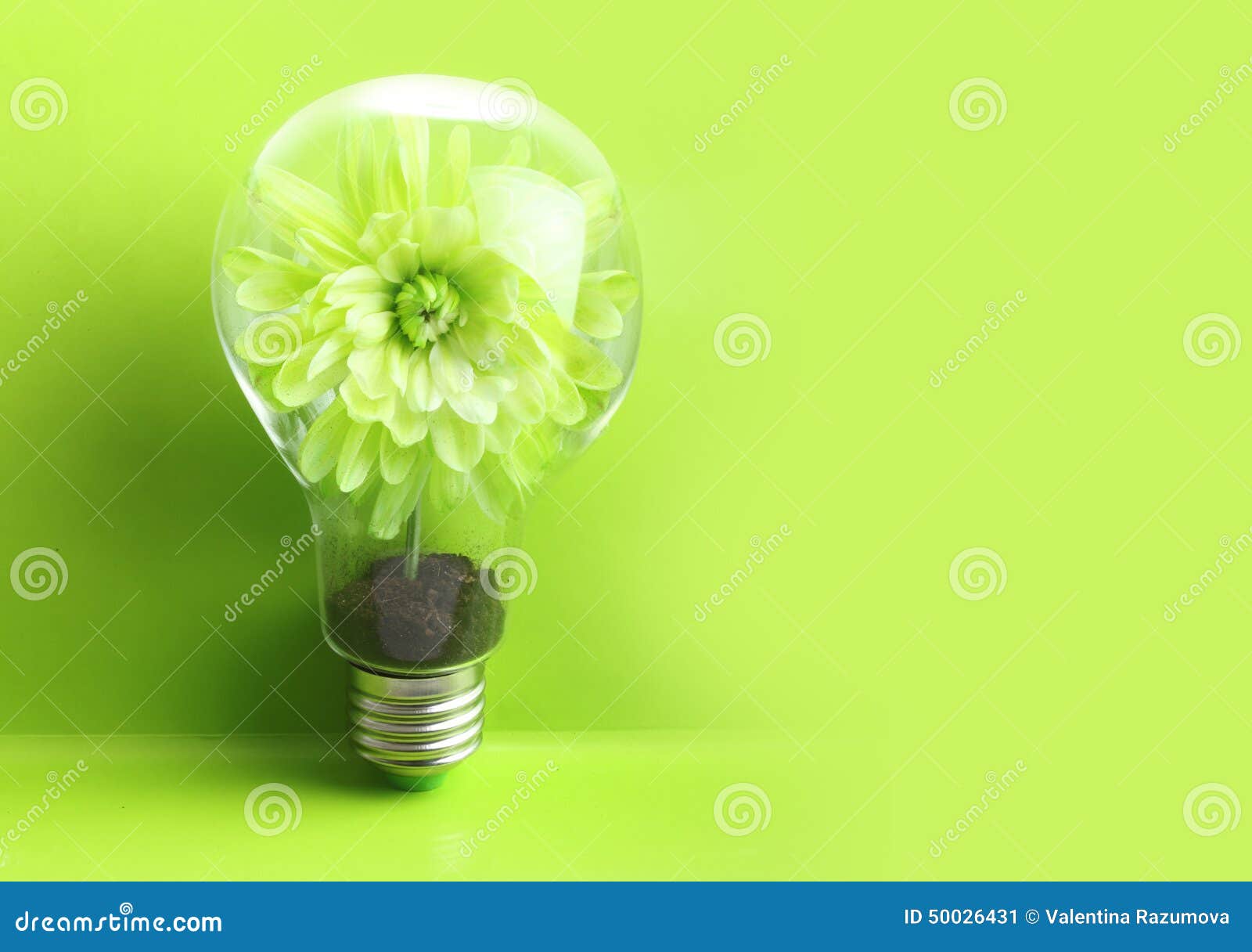 Green Plant Inside Light Bulb Stock Image Image of light, grow 50026431
