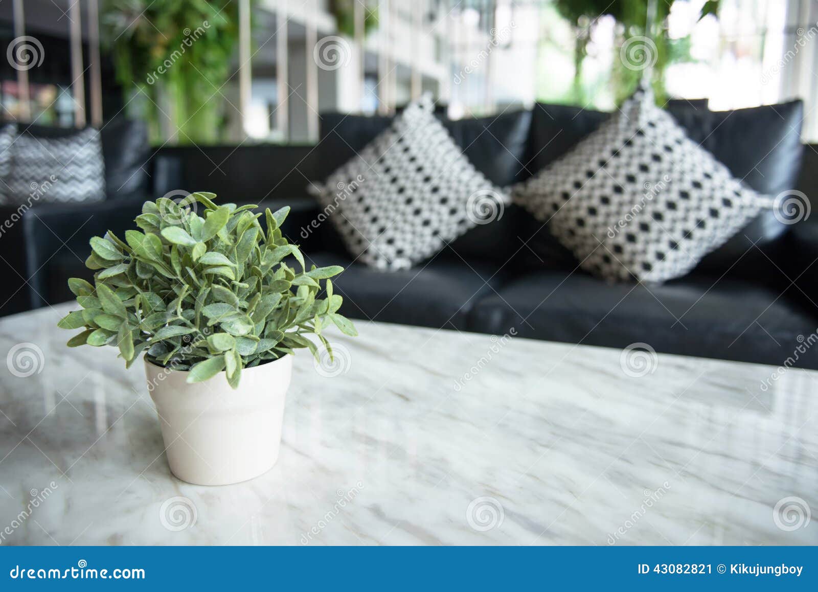 Green plant in living room stock image. Image of colorful 43082821