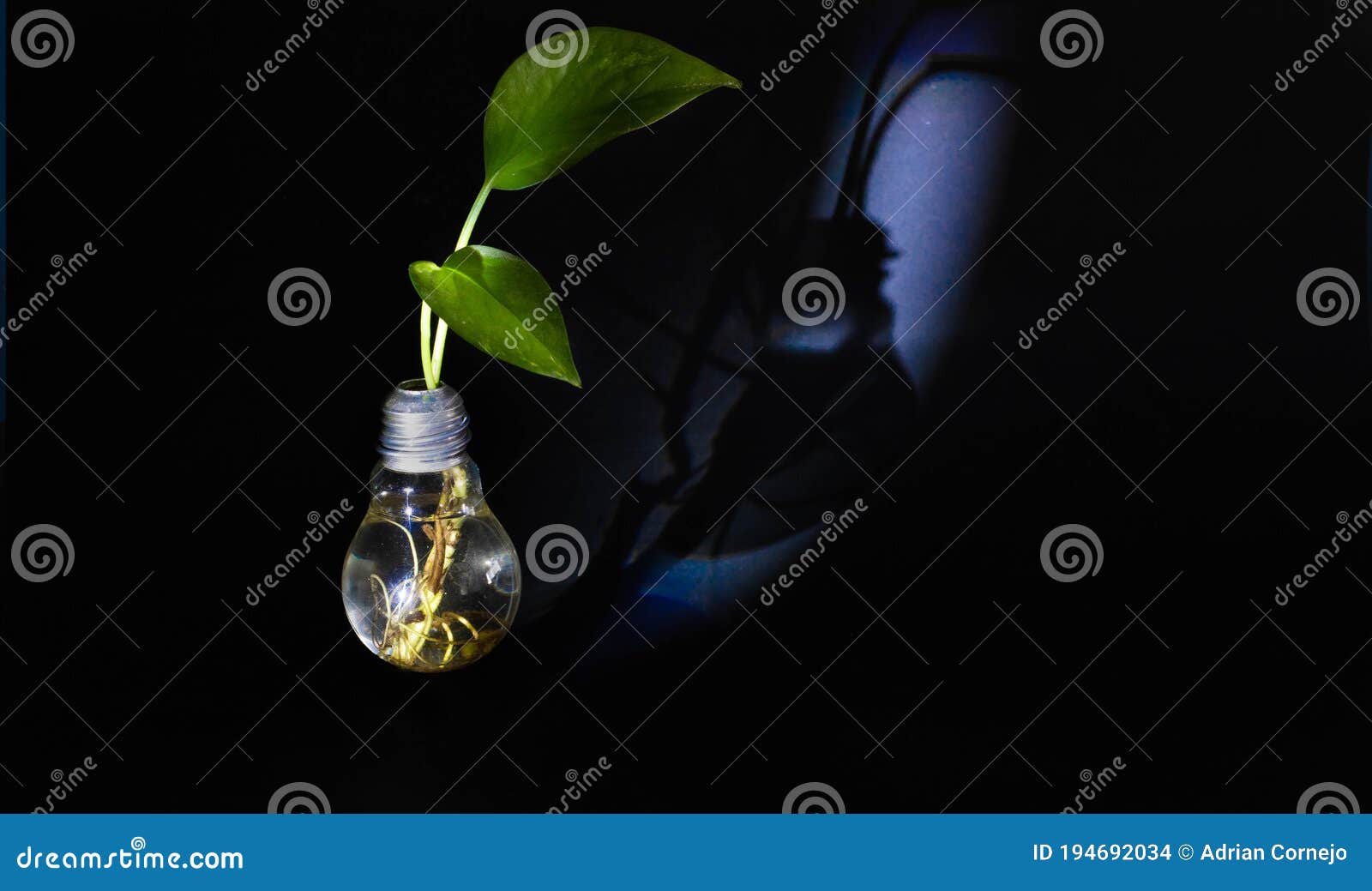 green plant living in a light bulb