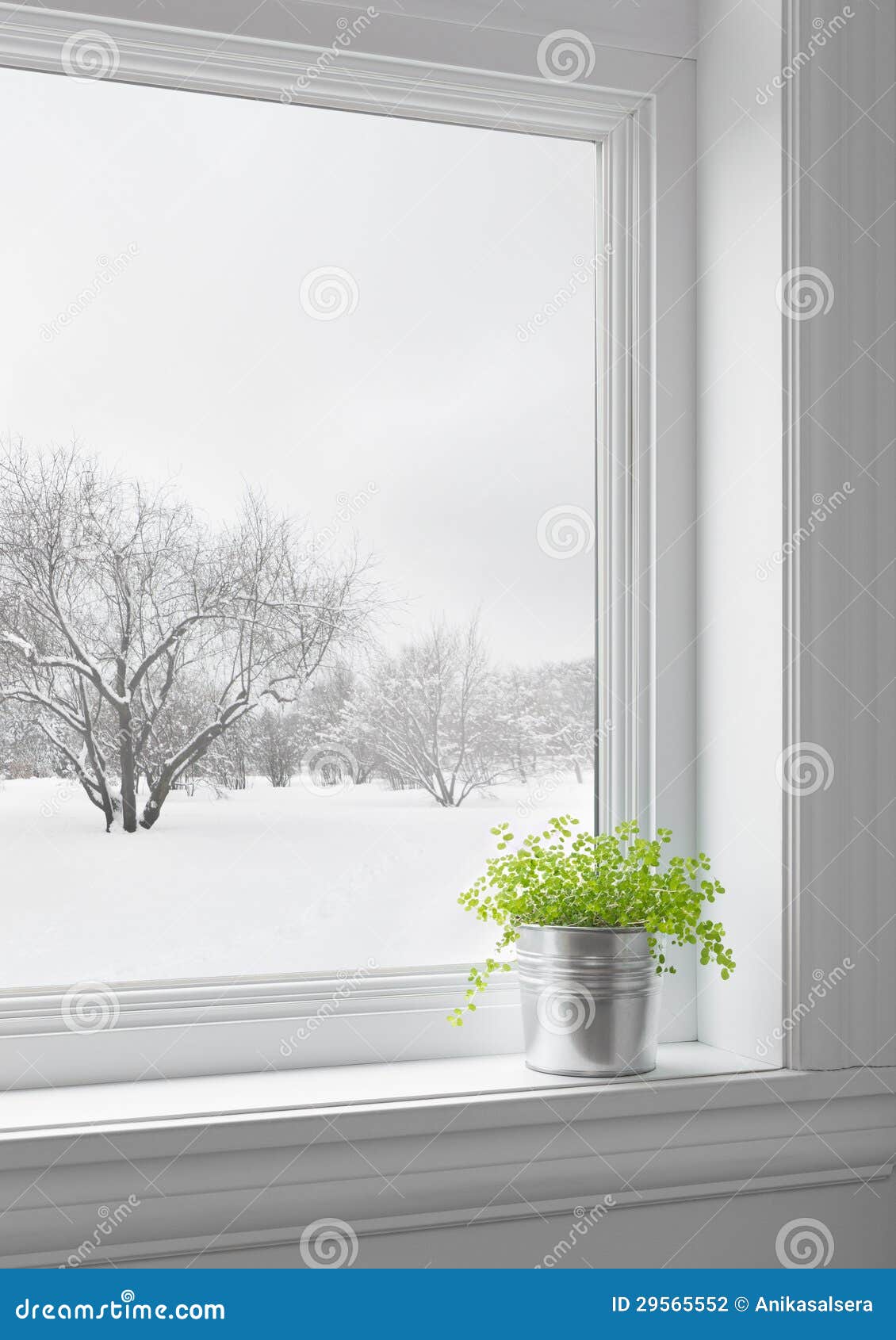 green plant winter landscape seen window 29565552