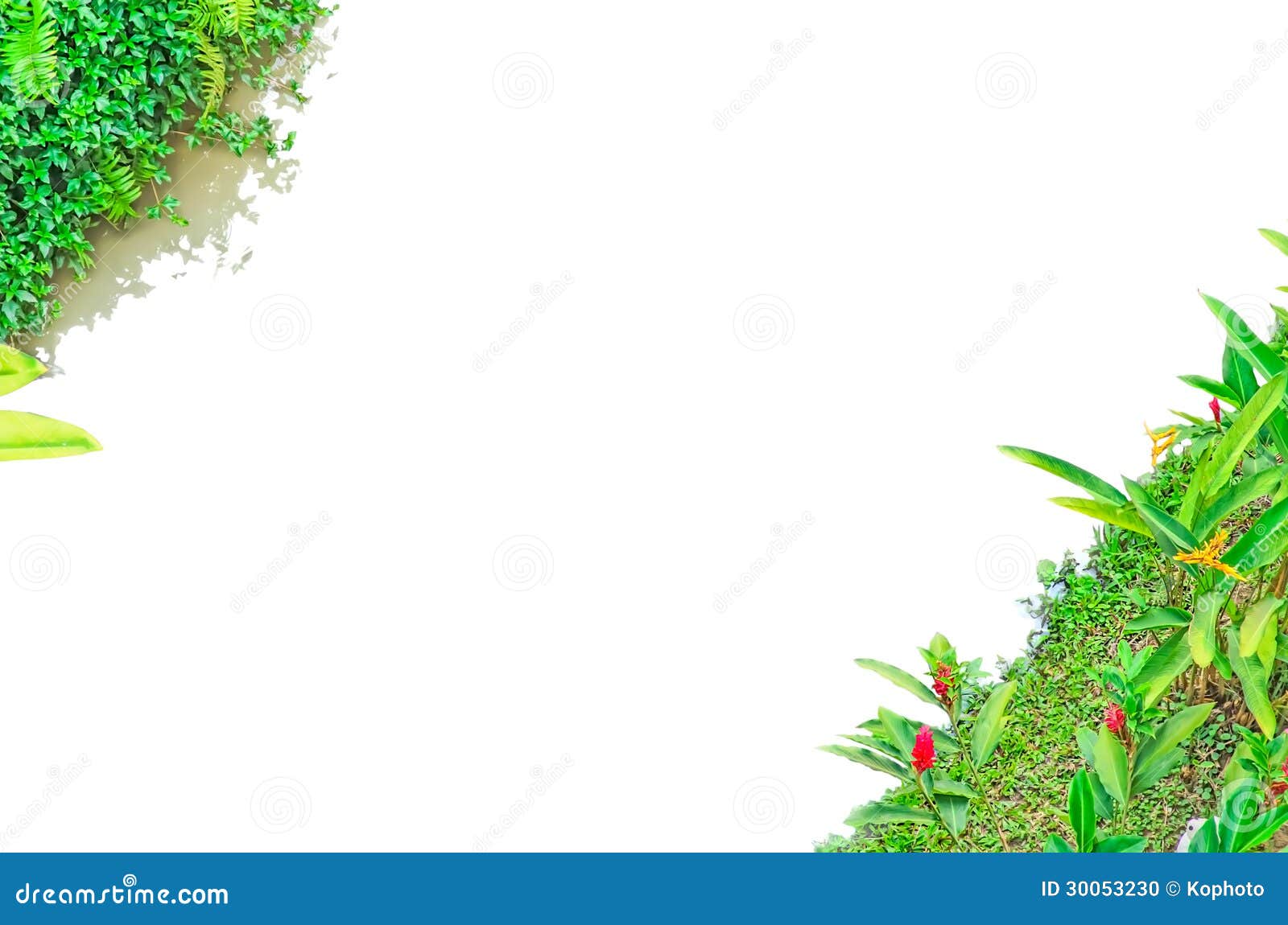frame photo green leaves free Pond 30053230 Border Image: Stock Photo Curb frame photo green leaves free Pond 30053230 Border Image: Stock Photo Curb