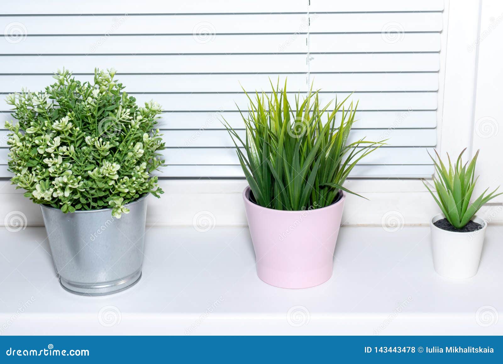 Green Plants In Flower Pots On Window Sill Bright Modern