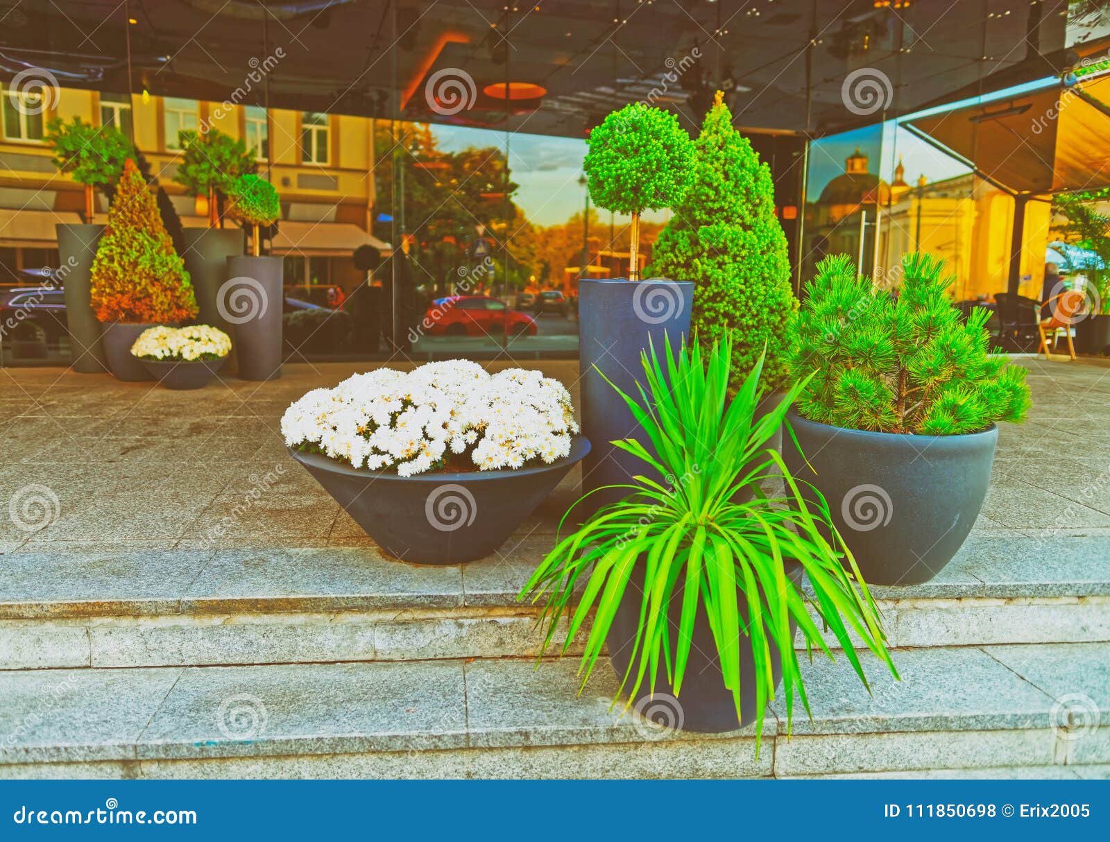 Green Plants Flowers on Streets in Vilnius Stock Photo Image of