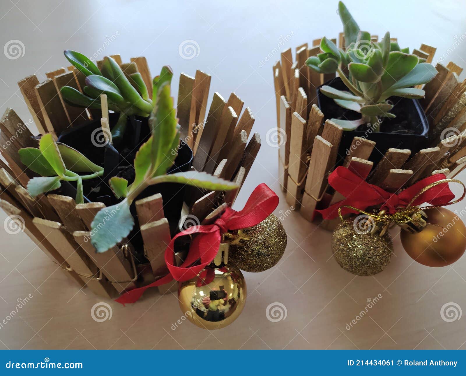 green plants in pots