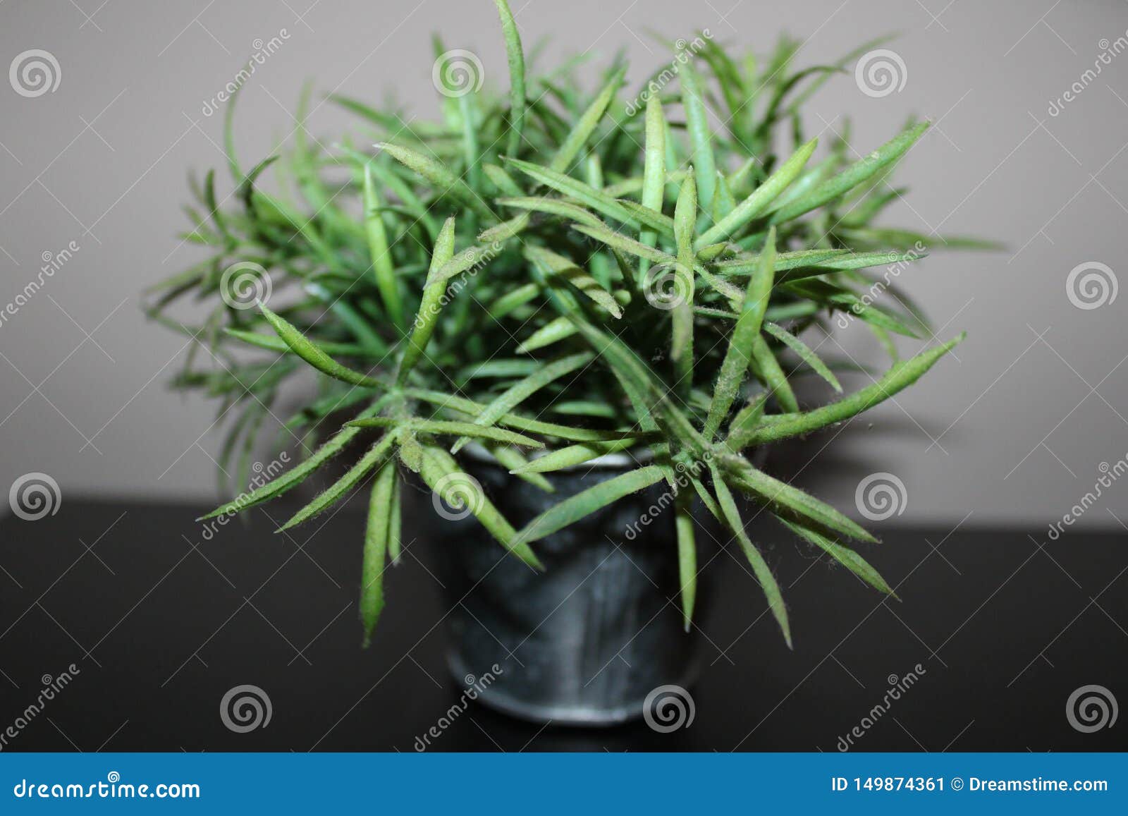 Green Plastic Flowers in Mi Bethroom Stock Image Image of plastic, garden 149874361