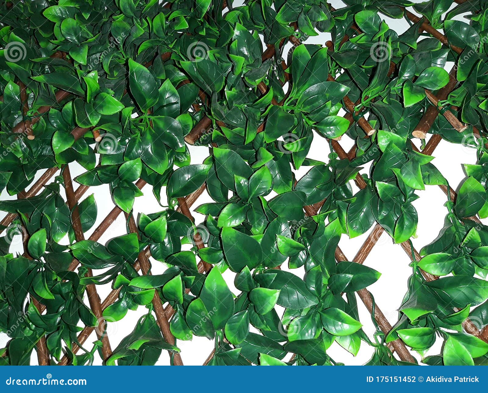 Green Plastic Flowers Mounted on the Wall Stock Photo Image of