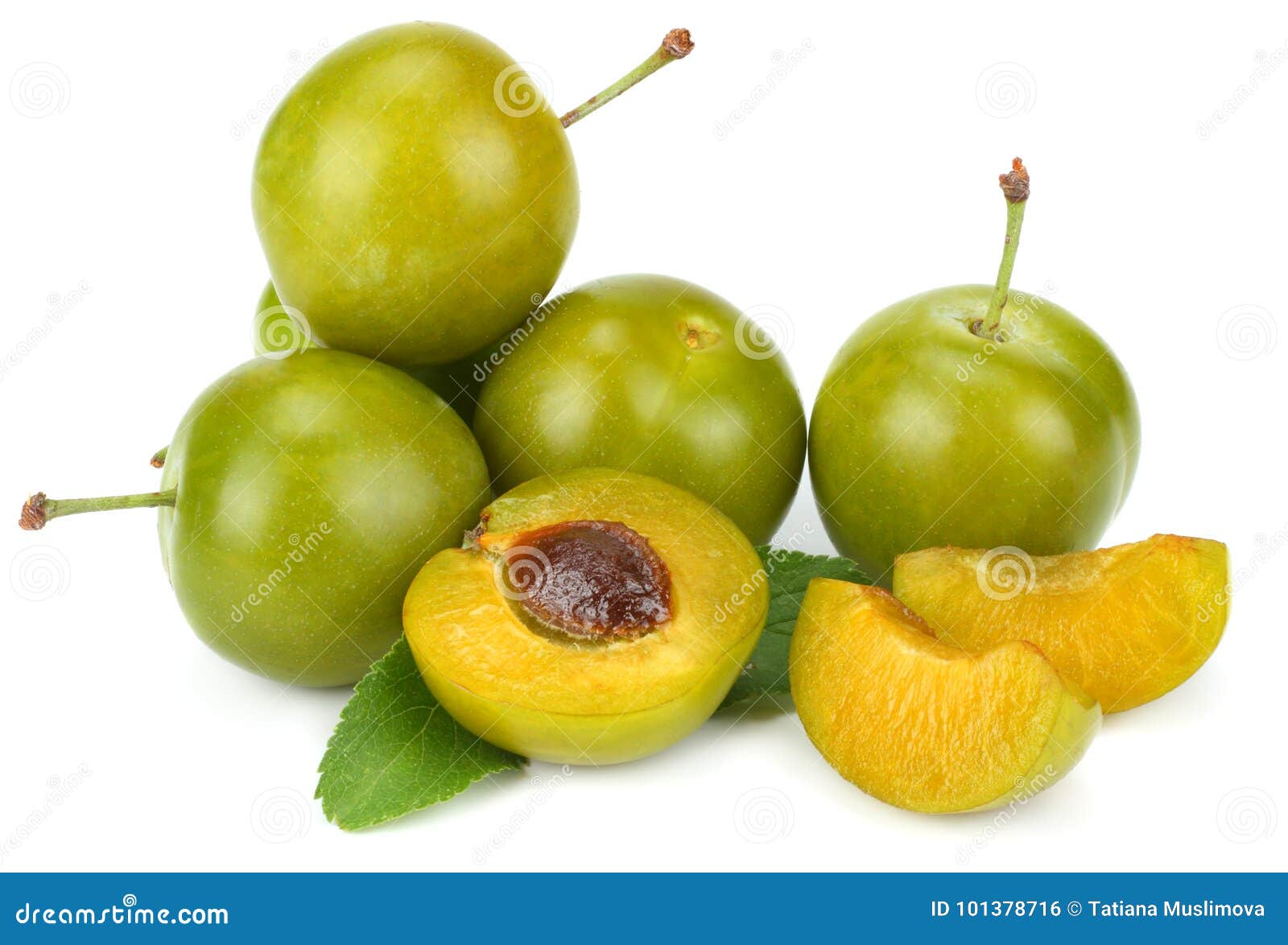 Green Plum Fruit Isolated on White Background Stock Photo Image of