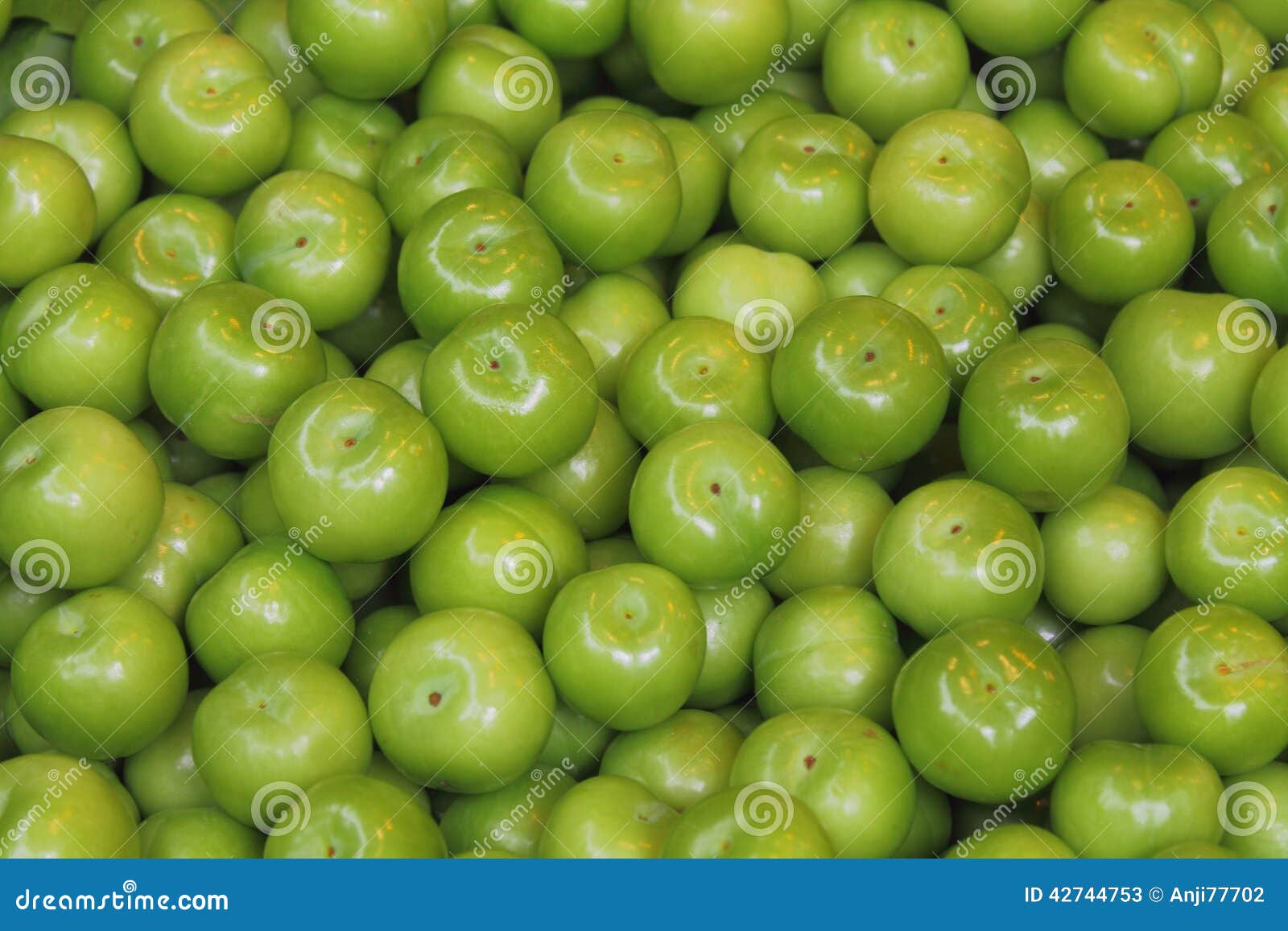 Green plum fruit stock image. Image of refreshment, green 42744753