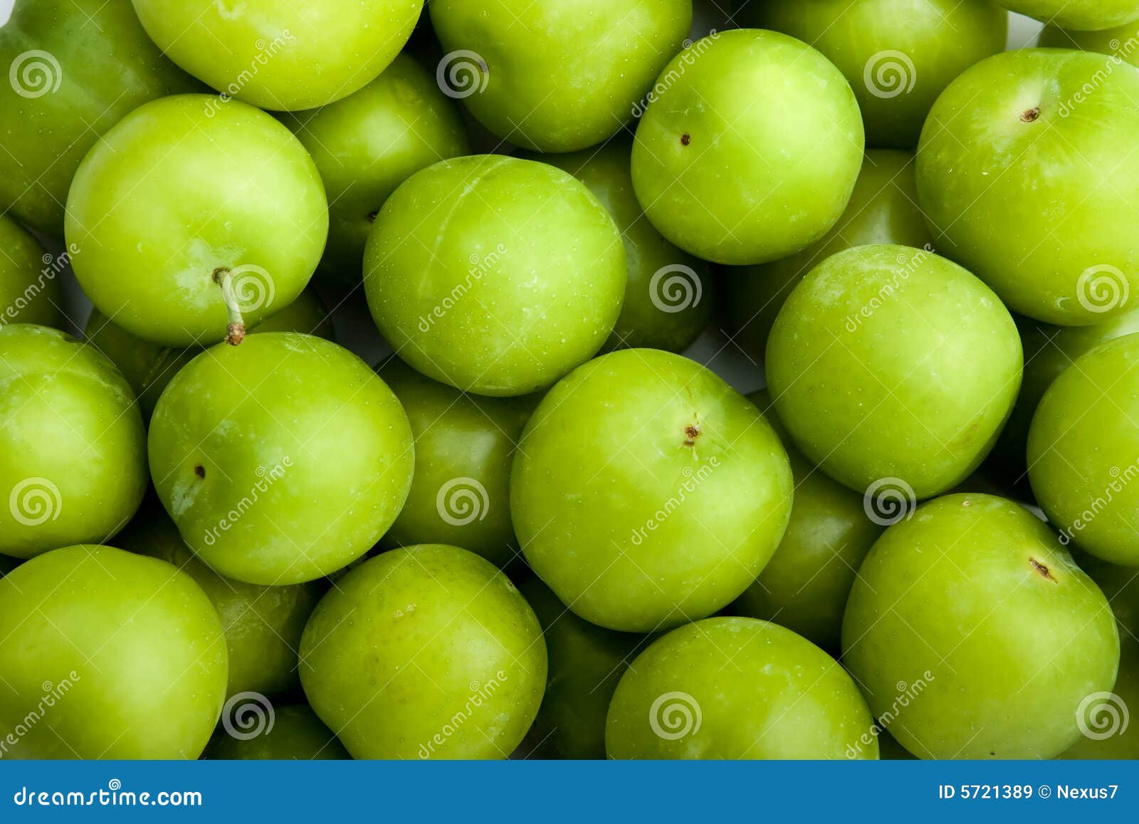Green Plums stock image. Image of summer, natural, nature 5721389