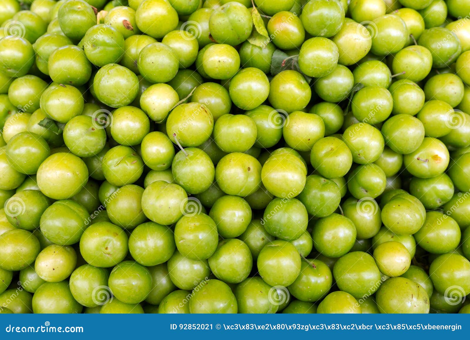 Green plums, background stock image. Image of harvest 92852021