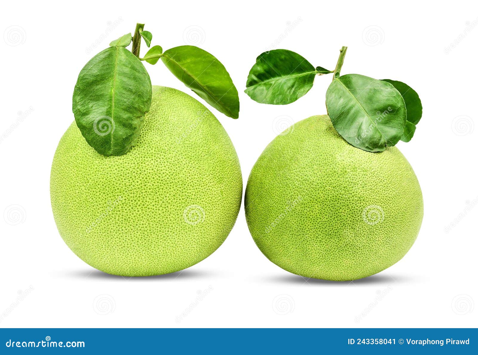 Green Pomelo Fruit with Leaves Isolated on White Background with