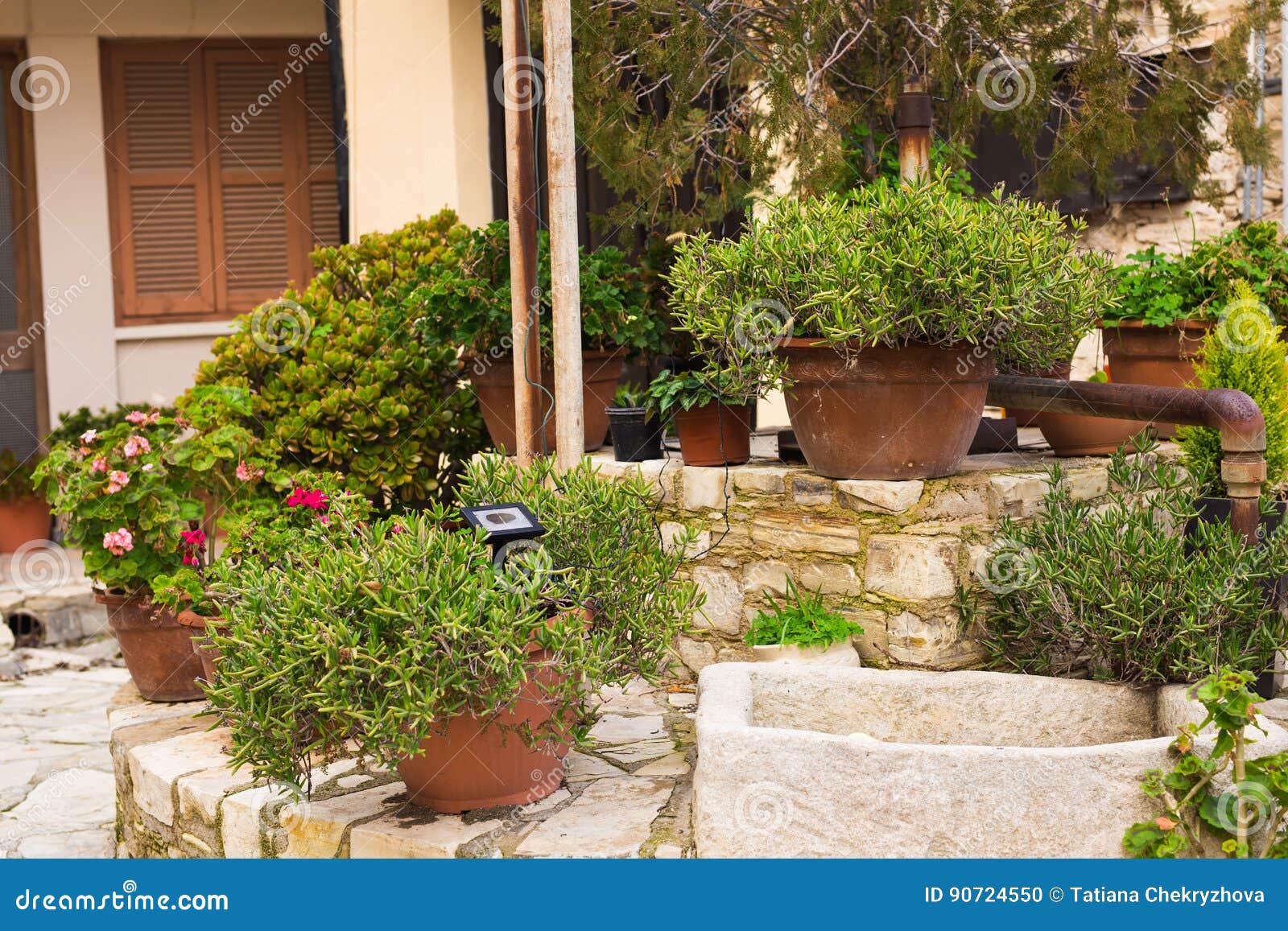 Green Potted Plants Outdoor Stock Photo Image of garden, cornucopia