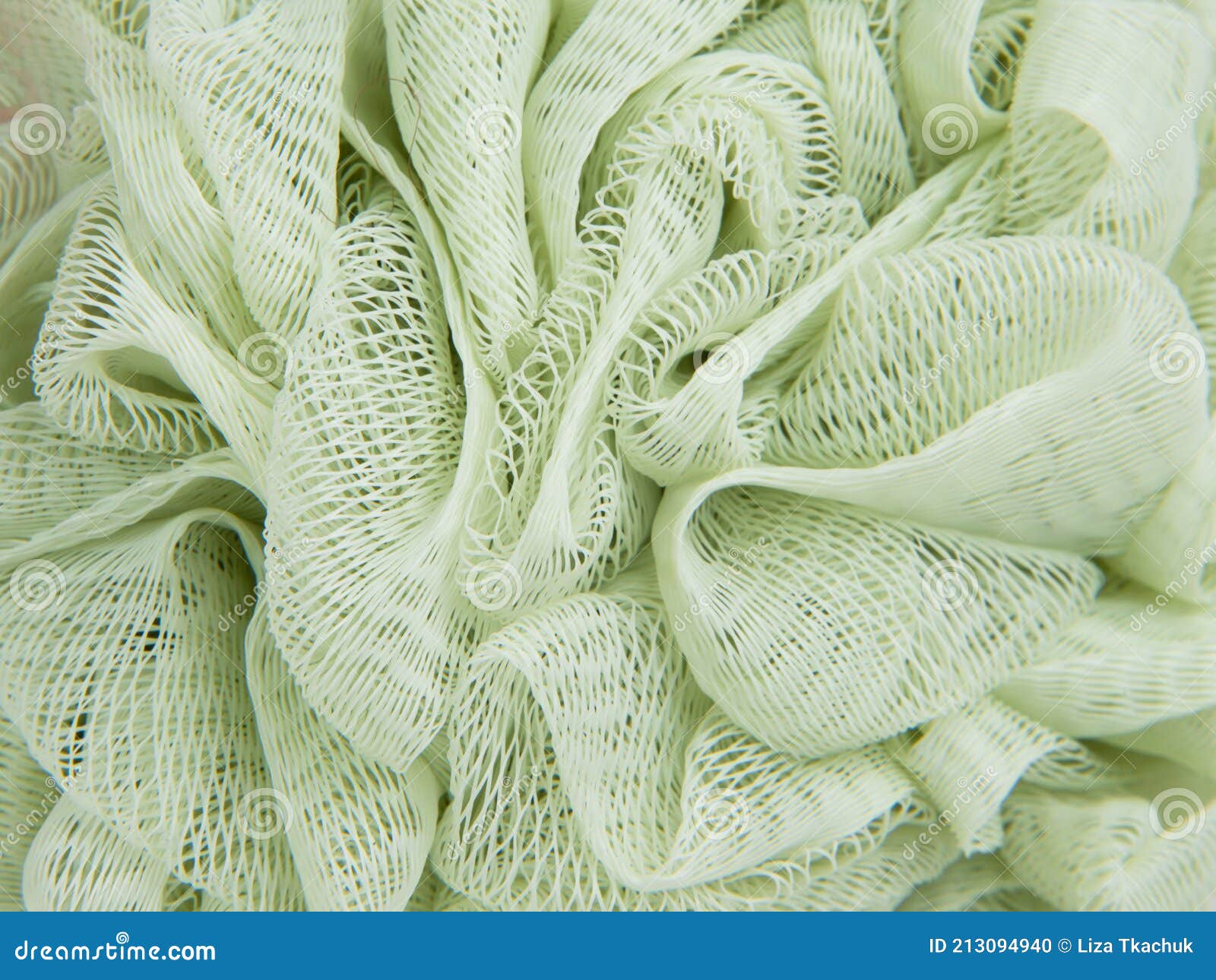 Green Puff Sponge for Shower Bath Care Texture Stock Photo Image of