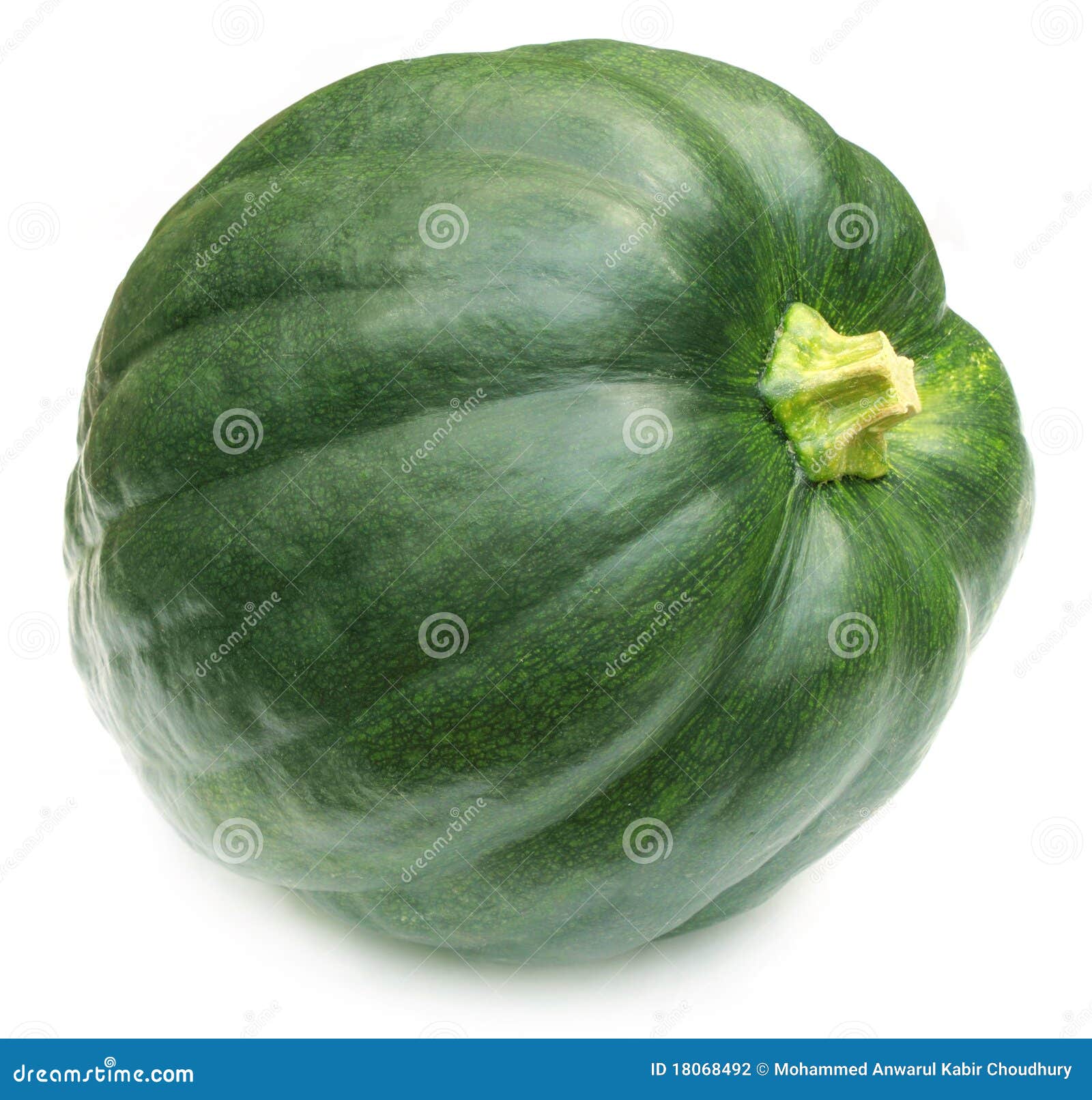 Green pumpkin stock photo. Image of harvest, decoration 18068492