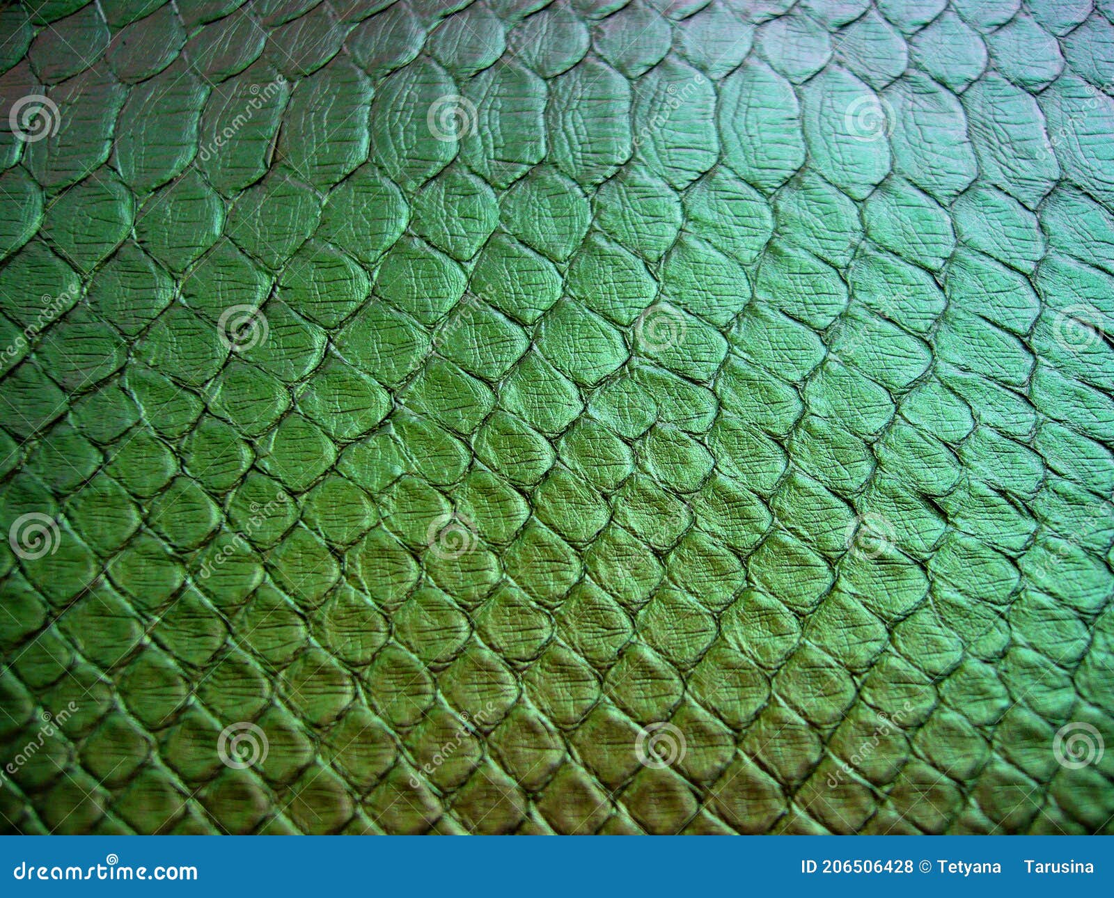 Green python skin snake. stock photo. Image of flooring - 206506428