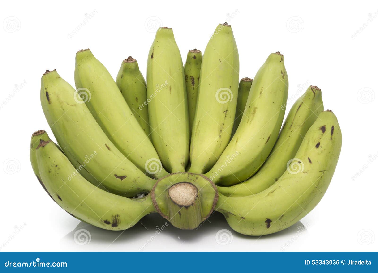 Green Raw Bananas stock photo. Image of fruit, banana 53343036