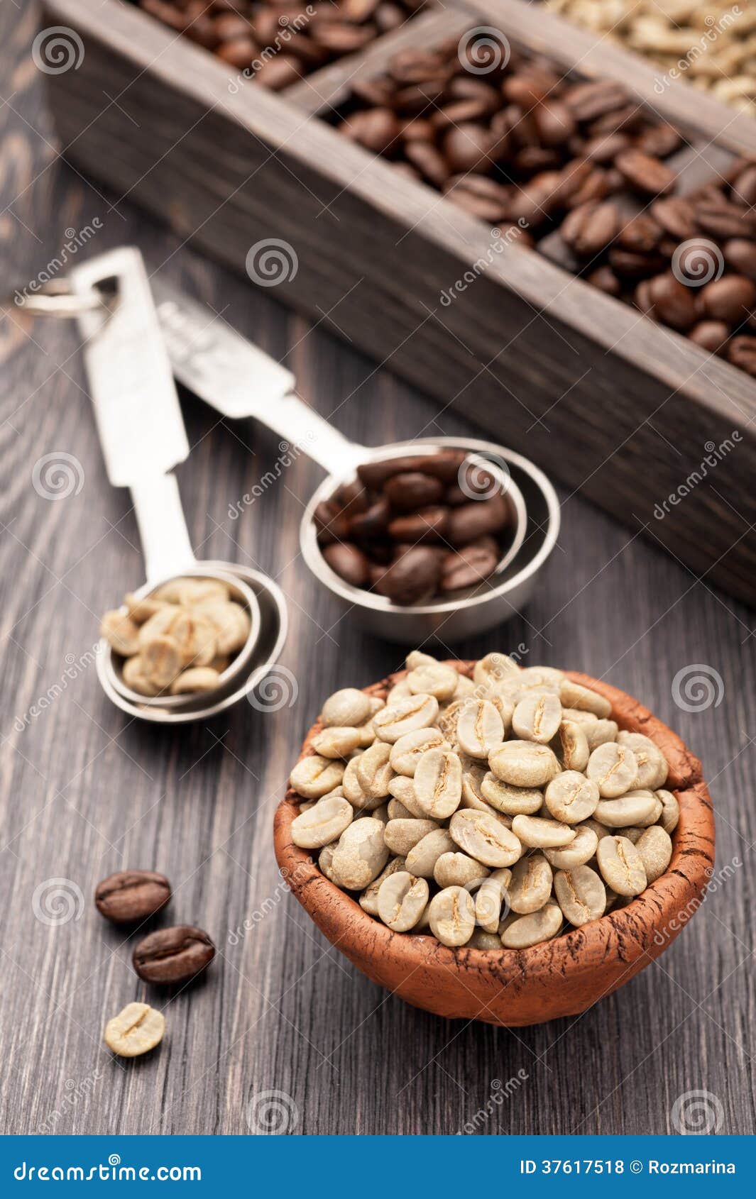Green (raw) Coffee and Roasted Coffee Beans Stock Photo Image of tray