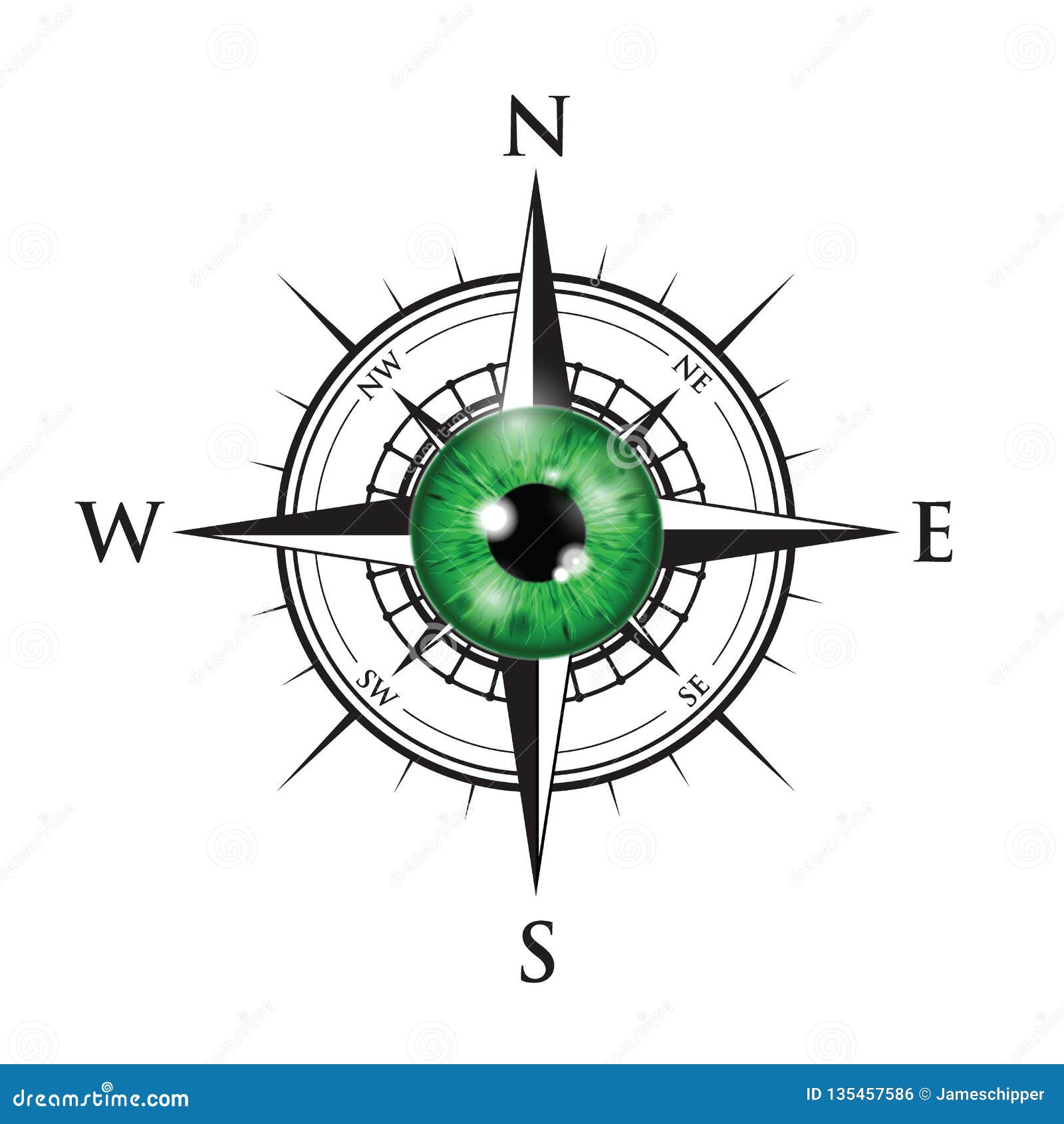 Realistic Eyeball on a Compass Stock Vector Illustration of eyes