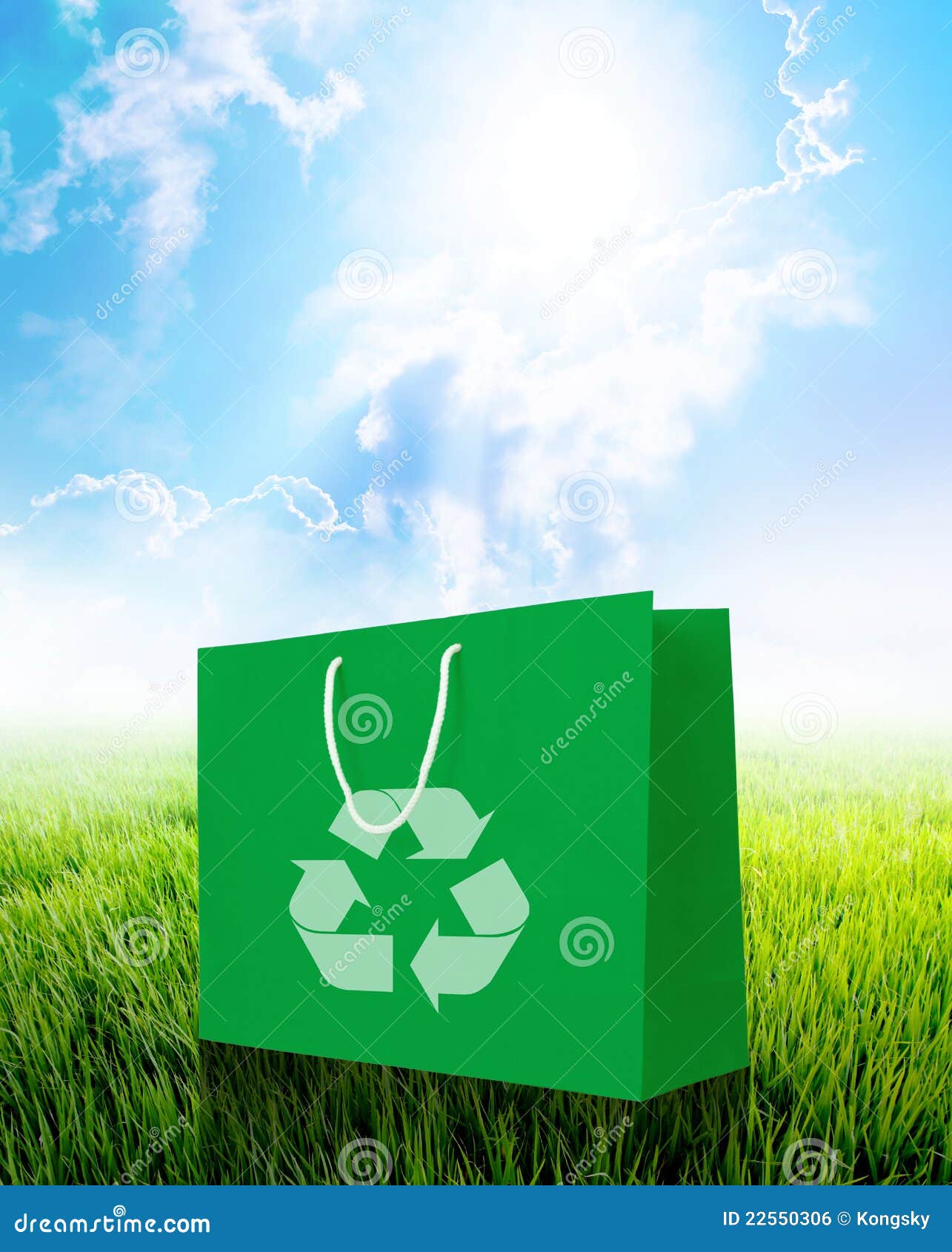 Green Recycle Paper Shopping Bag Stock Photo Image of ecological