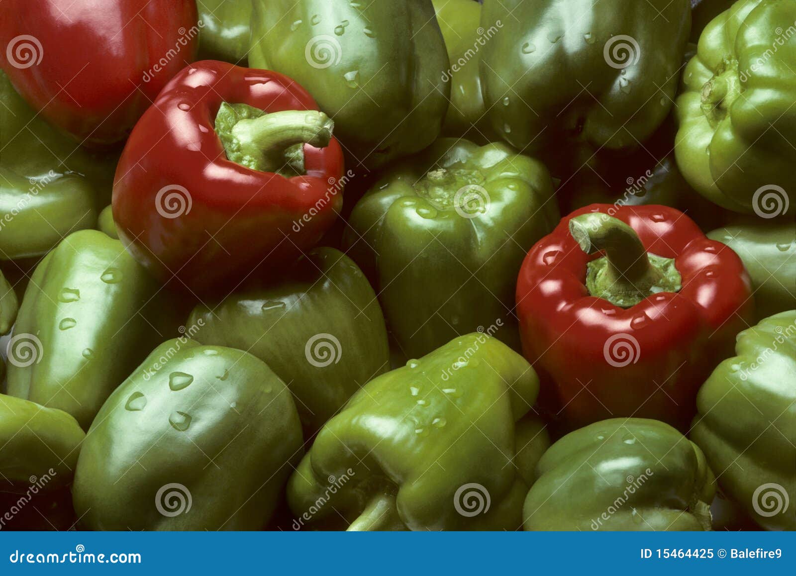 Green and red Bell peppers stock image. Image of bell 15464425