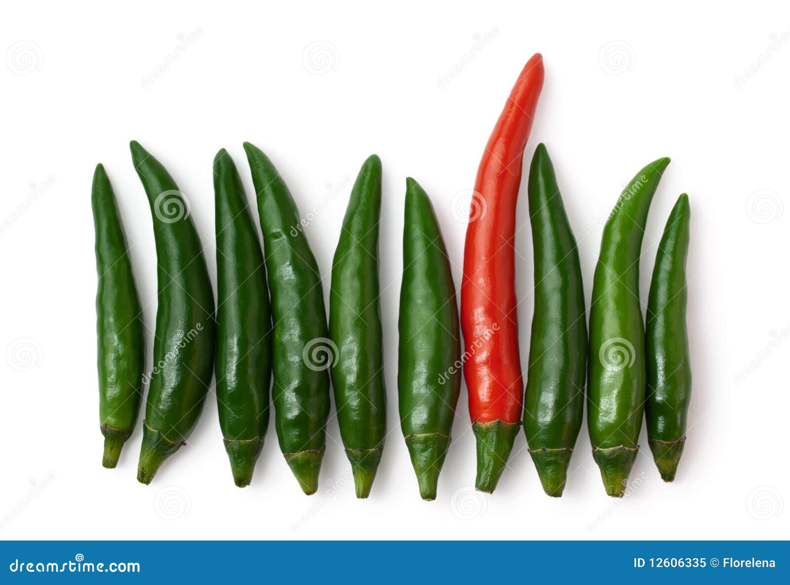 Green and Red Peppers Isolated on White Background Stock Image Image