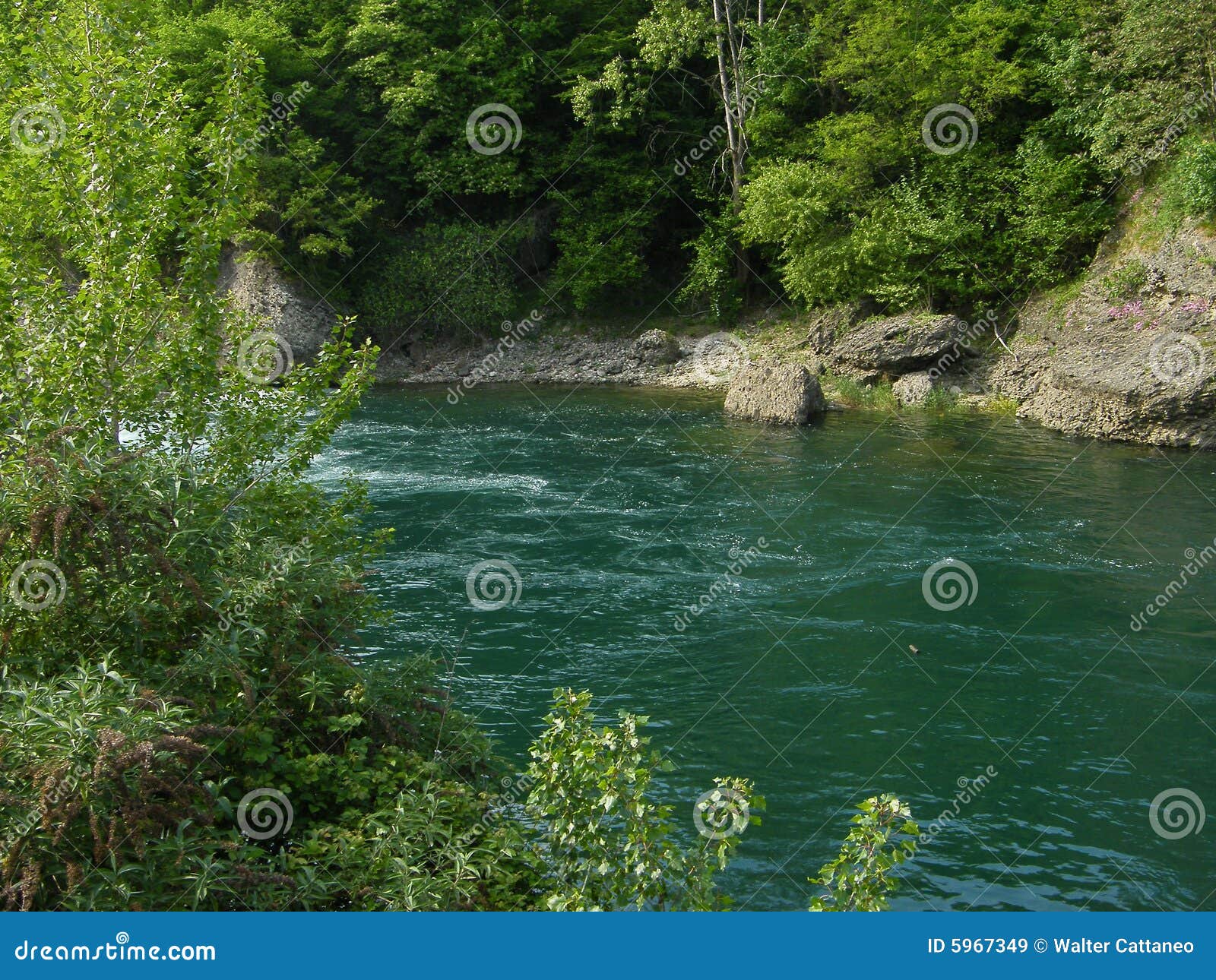 Green River stock image. Image of serene, natural, picturesque - 5967349