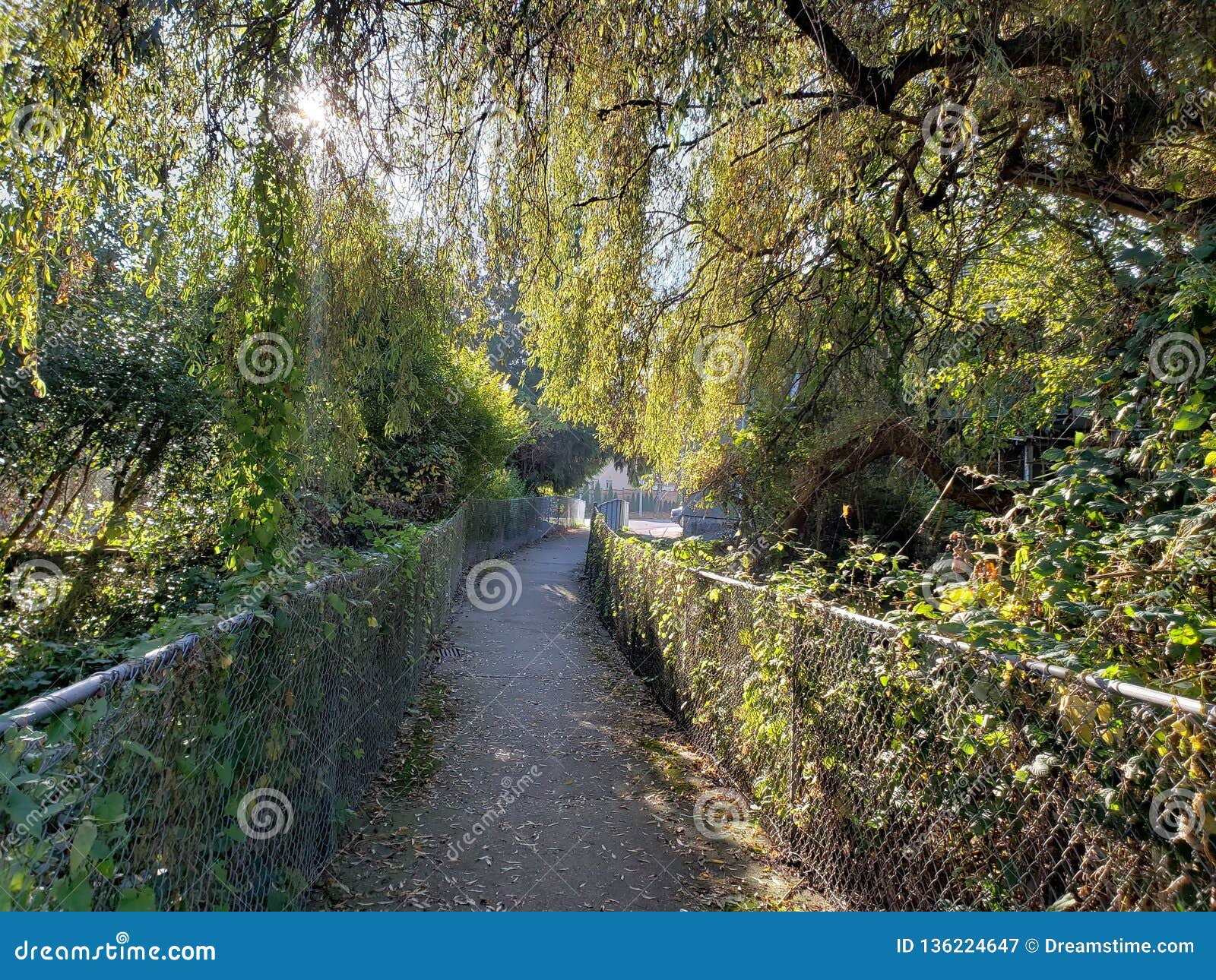 Green road on king stock image. Image of surrey 136224647