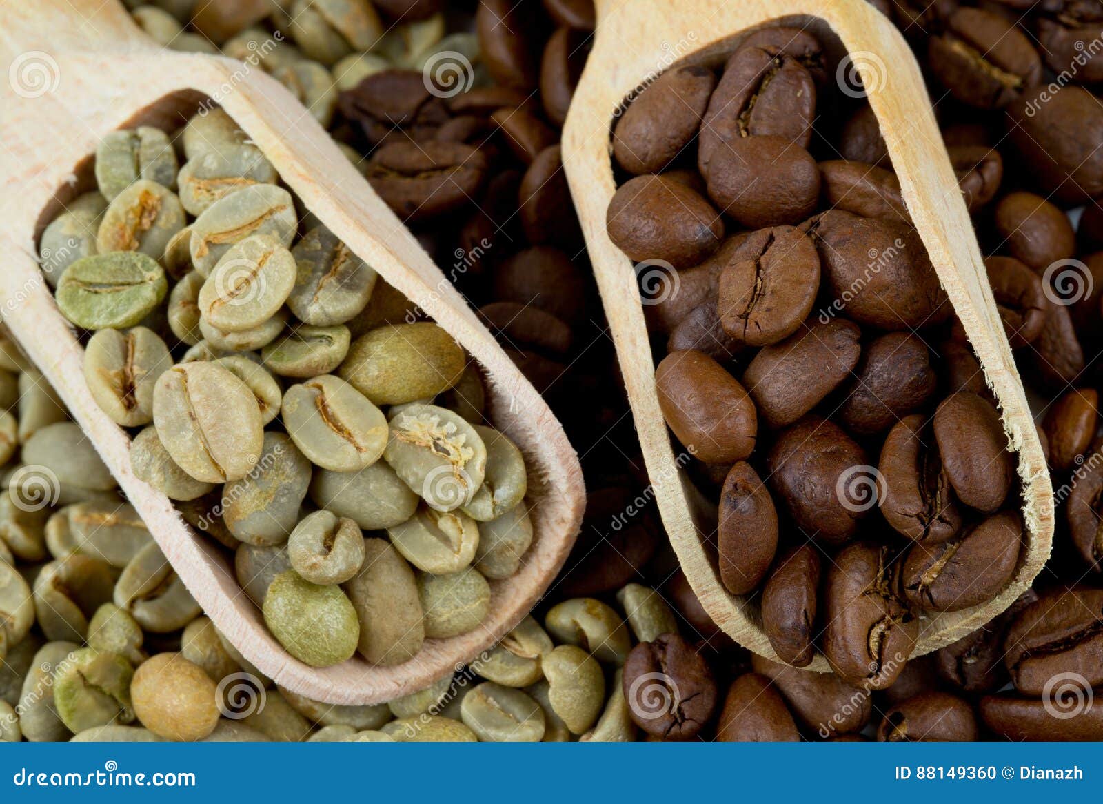 Green and Roasted Coffee Beans Stock Photo Image of seed, cafe 88149360