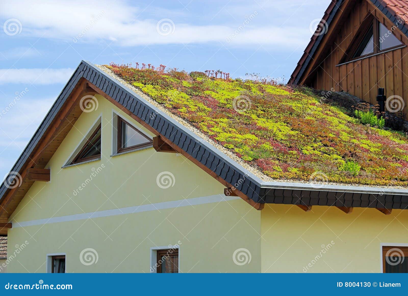 Green roof stock photo. Image of window, structure, isolation 8004130