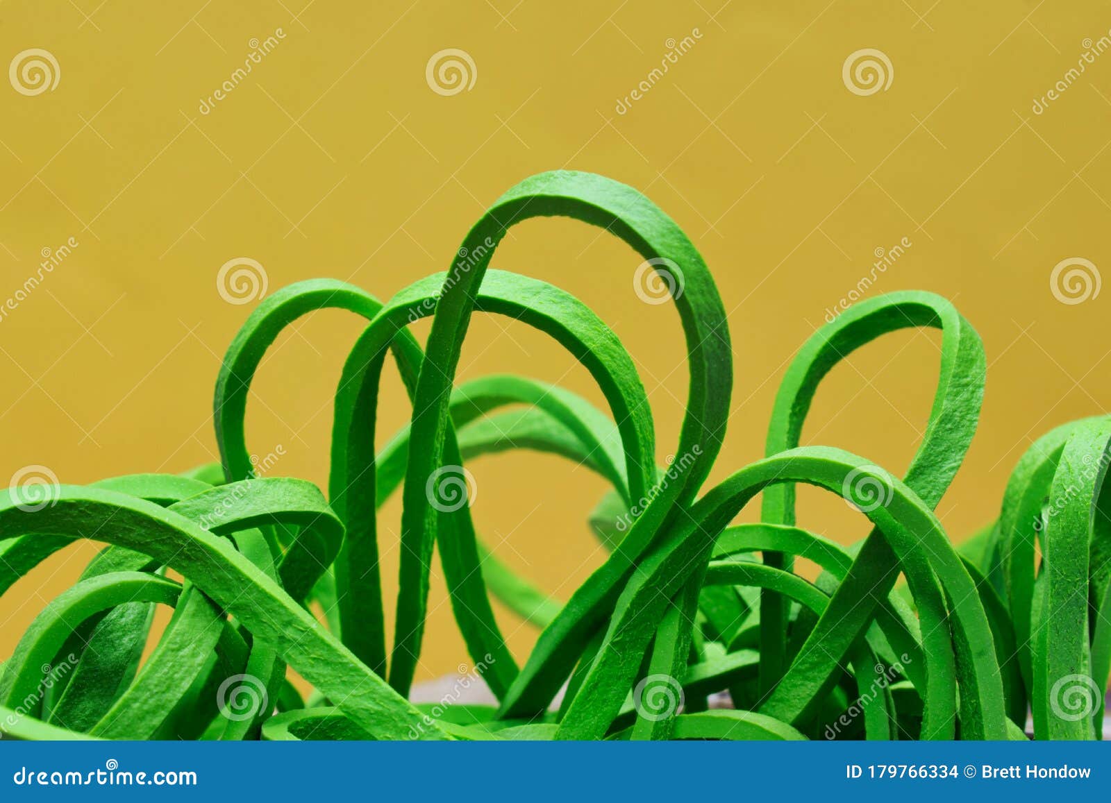 Green Rubber Bands Abstract Image. Stock Photo - Image of collection