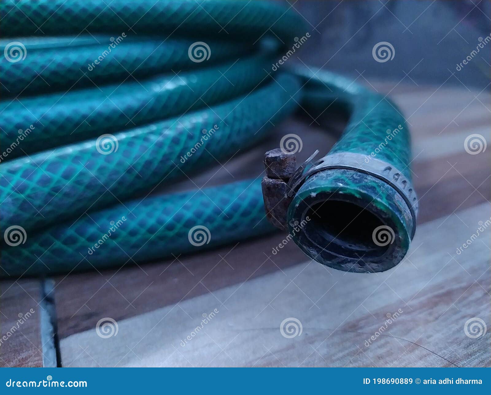 Green Rubber hose stock image. Image of purple, turquoise 198690889