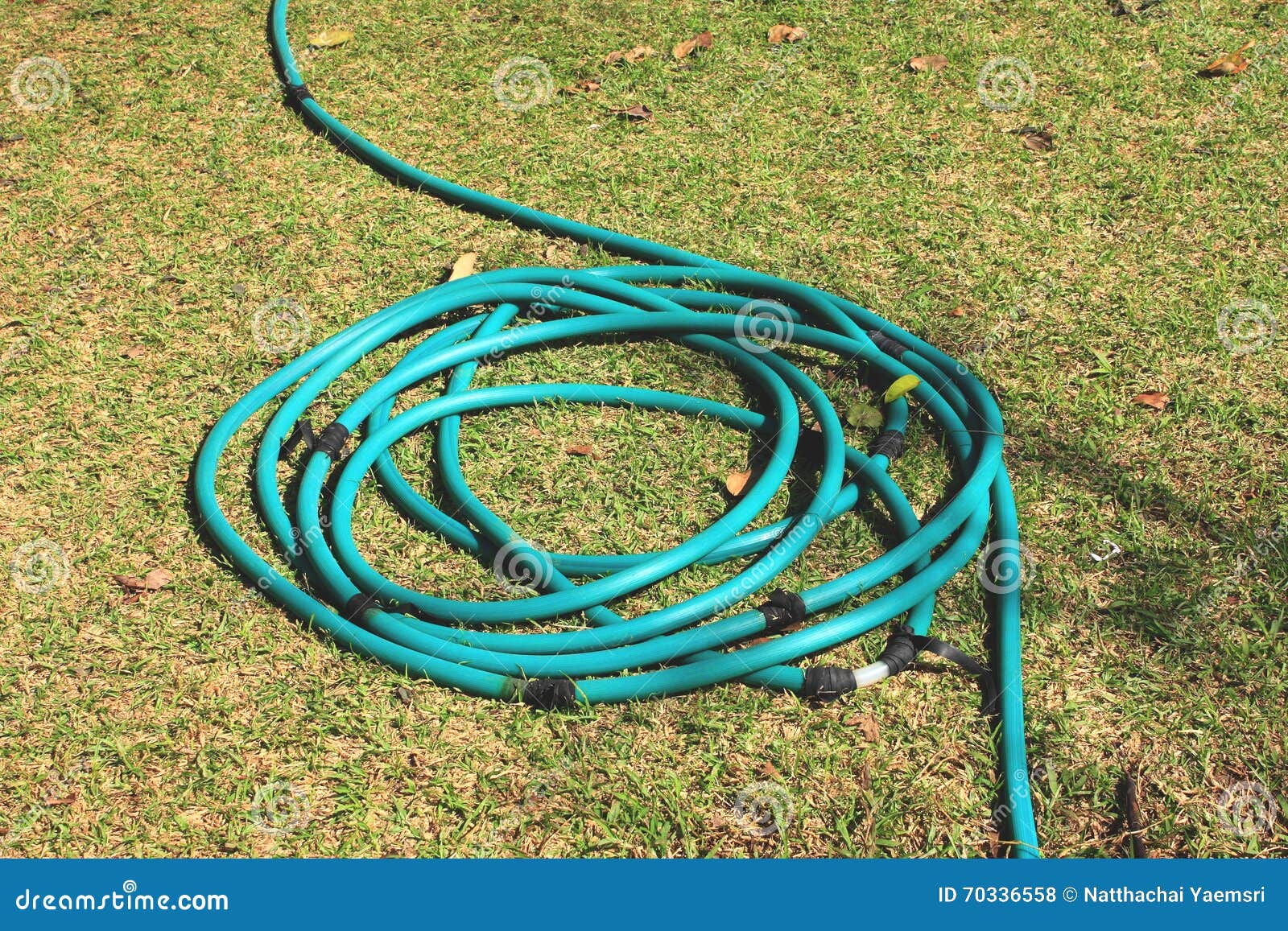 Green Rubber tube stock photo. Image of color, garden 70336558