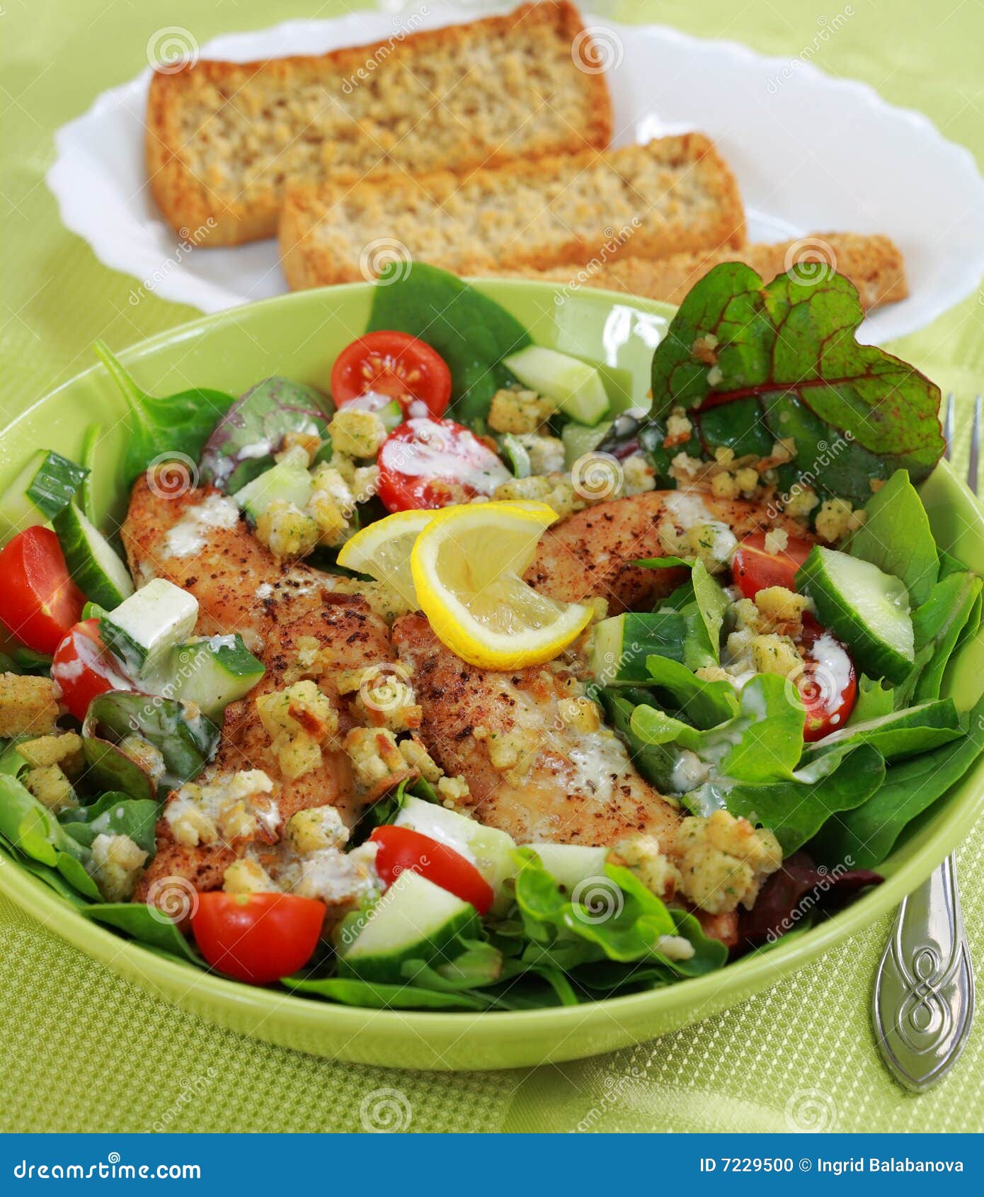 Green Salad with Chicken Stripes Stock Photo Image of dieting, meat