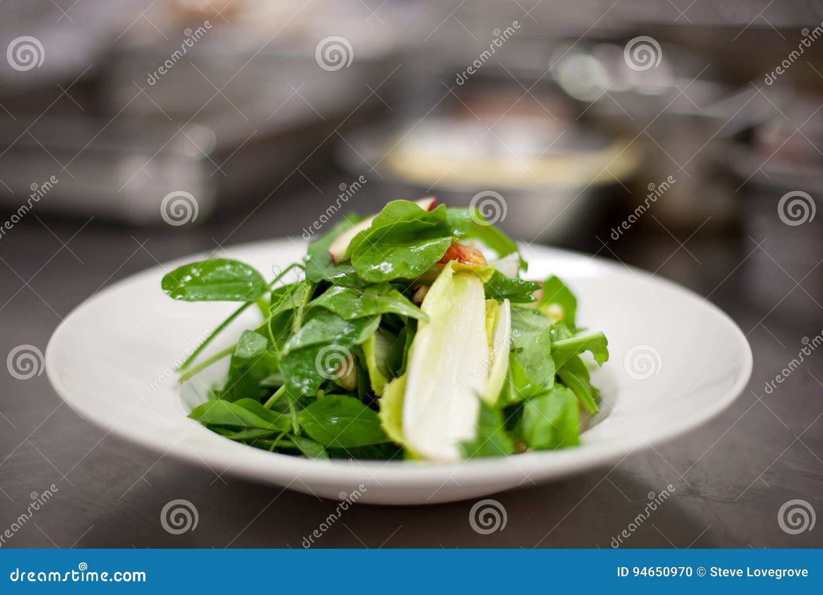 Green salad on a plate stock photo. Image of food, cooking 94650970