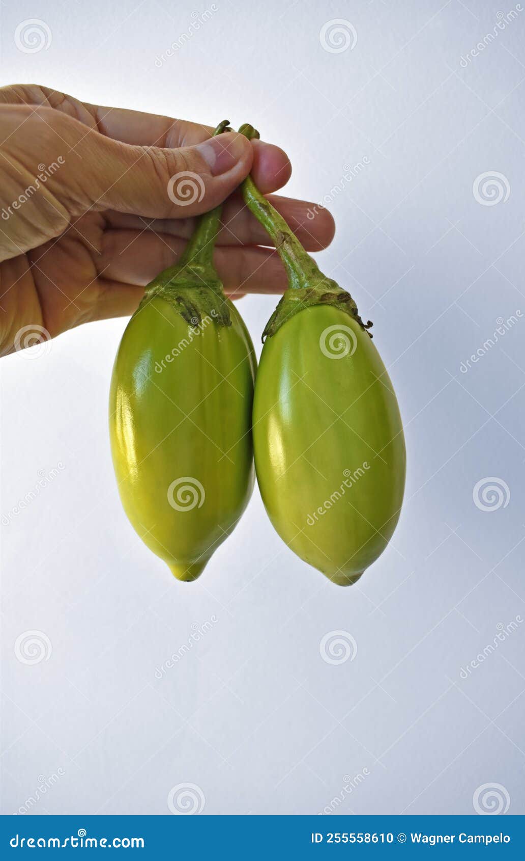 Premium Photo  Cooked scarlet eggplant salad or jilo in brazil. without  seasoning scarlet eggplant salad background