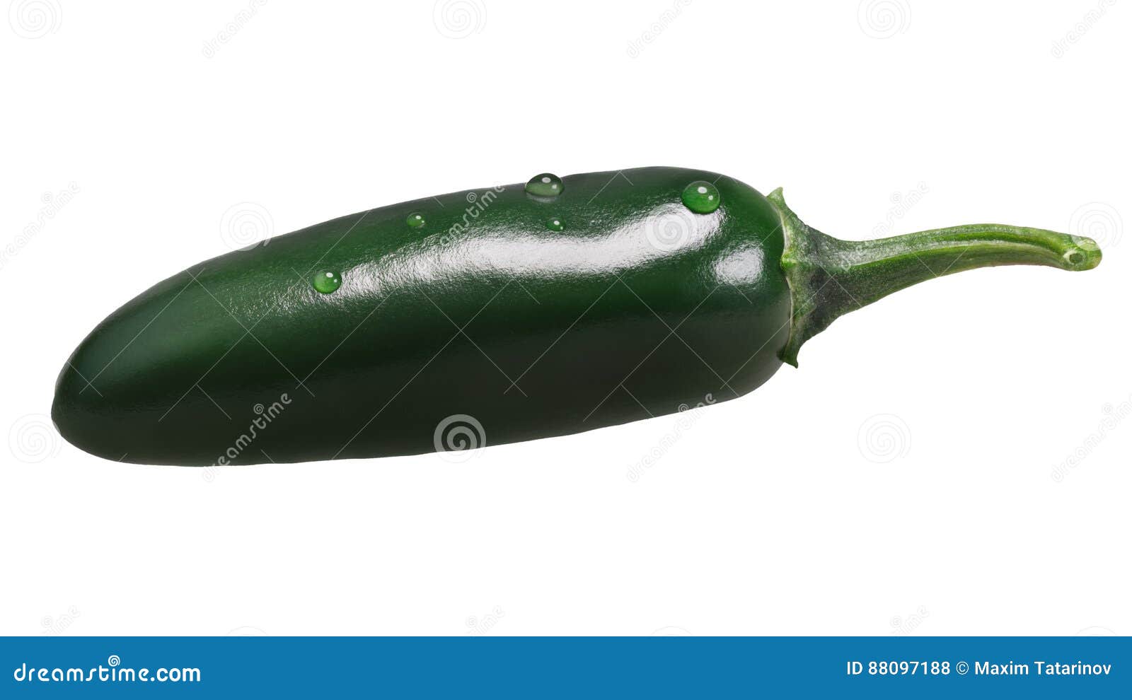 Green Serrano Chile Pepper, Paths Stock Photo Image of pepper, pods