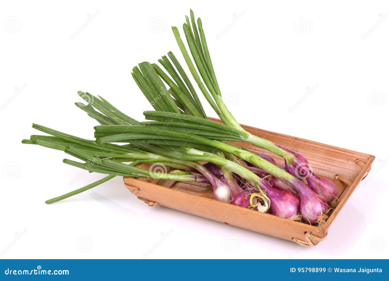 Selective Focus Vegetable Shallot Scientific Name Stock Photo 2311630259