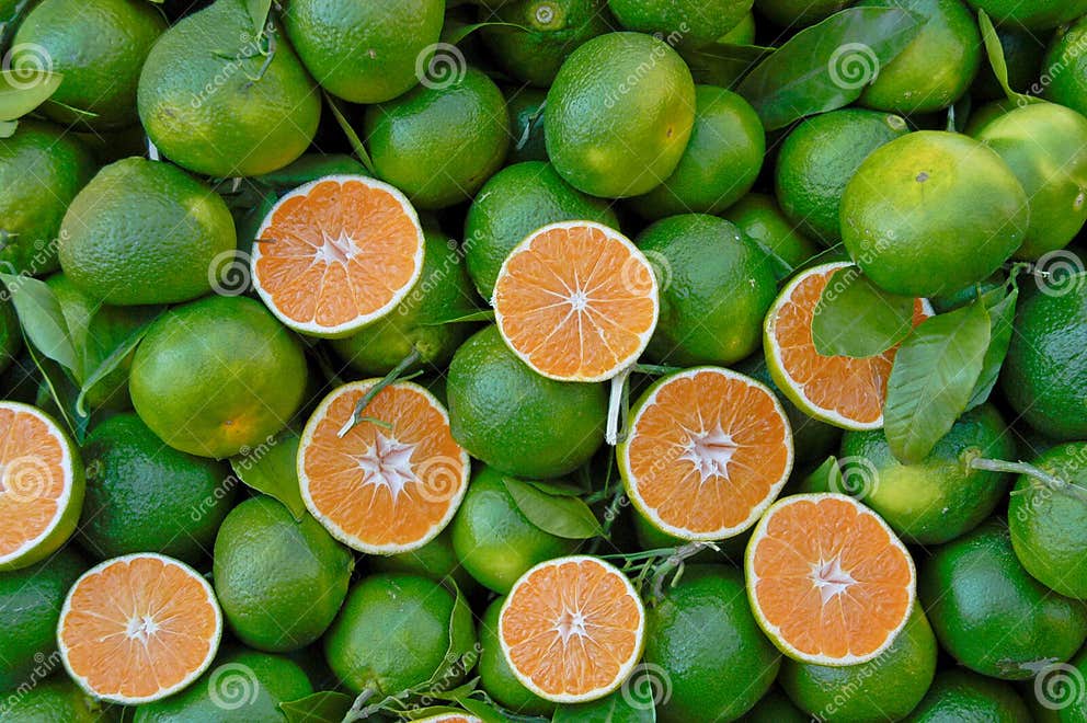 Green Skinned Lemons with Orange Pulp Stock Photo Image of organic