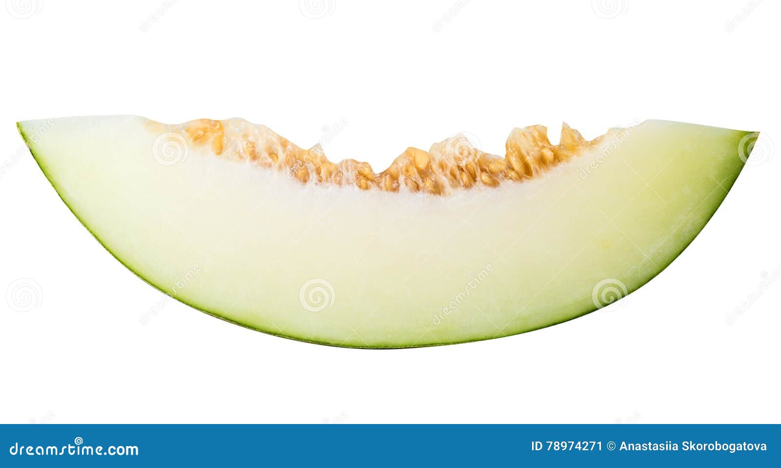 Green Sliced Melon Isolated on White Background Stock Image Image of