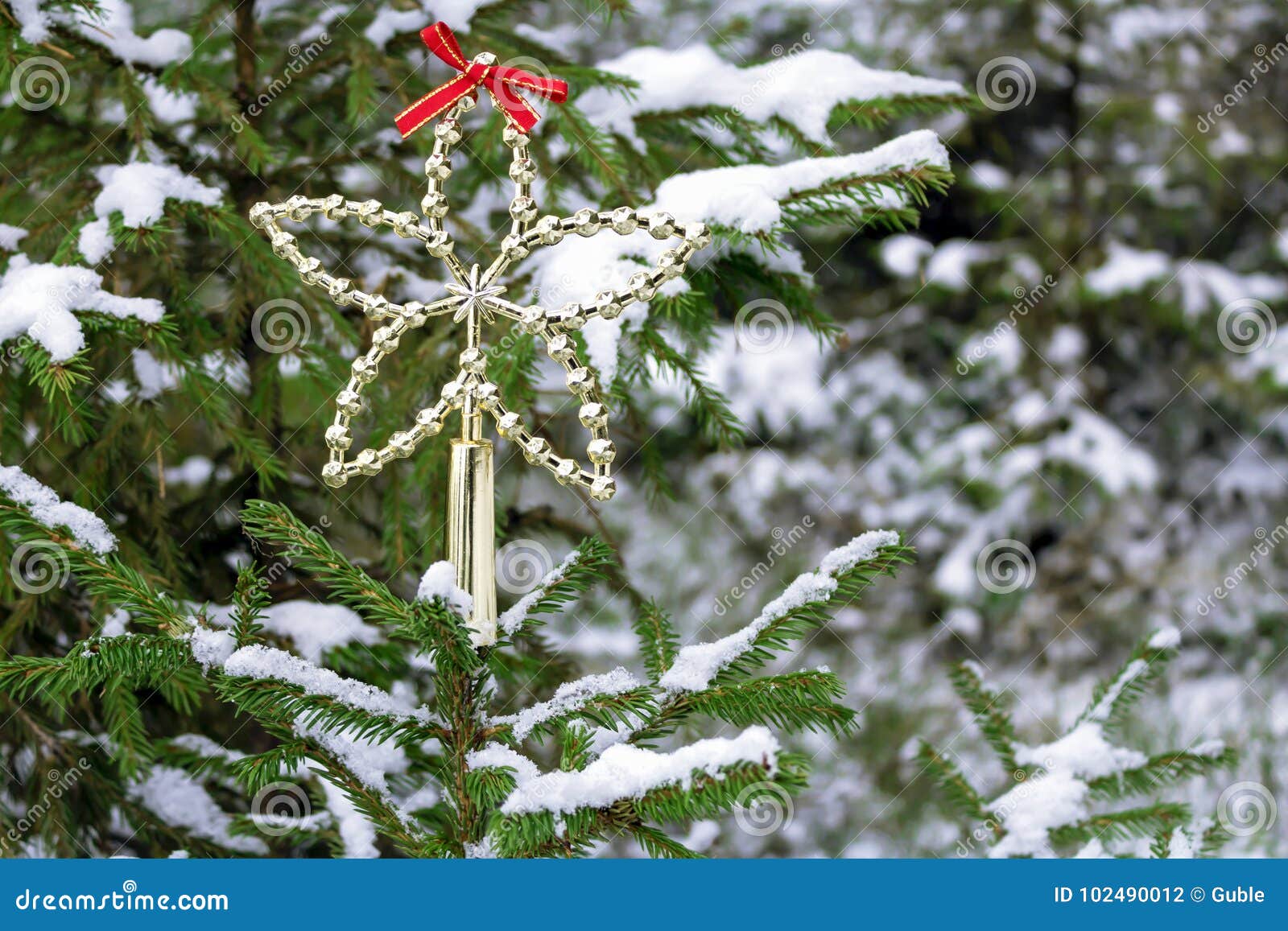 Green Snowy Christmas Tree in the Forest Stock Photo Image of cedar