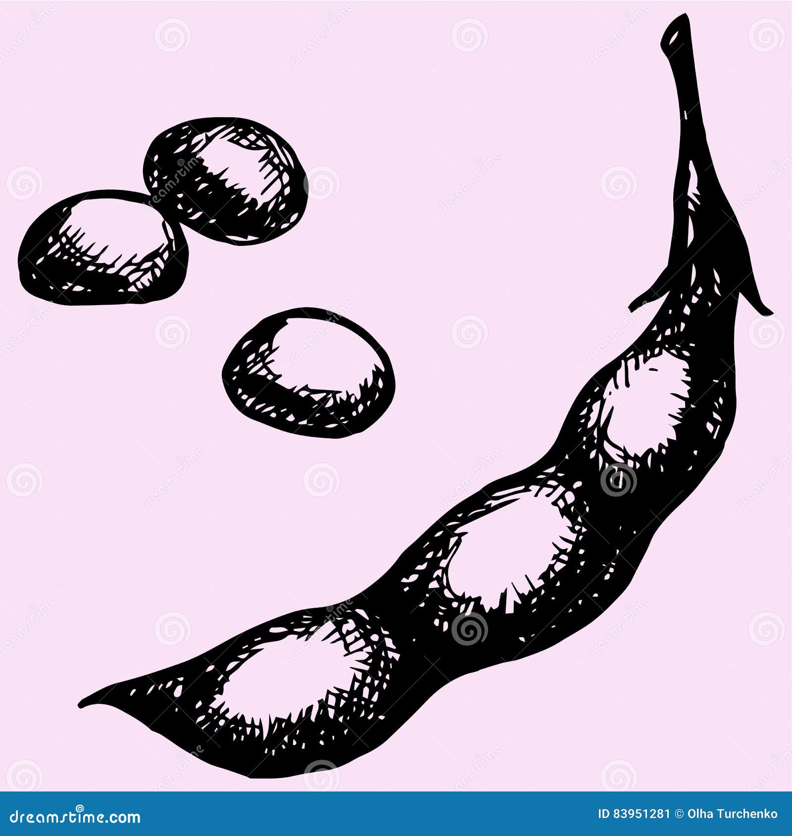 Green soybean stock vector. Illustration of plant, agriculture 83951281