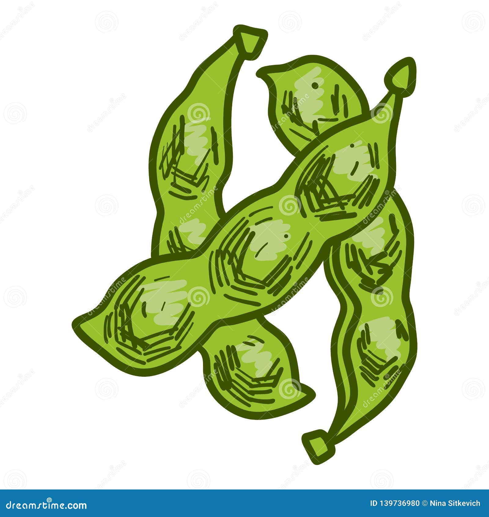 Green Soybean Icon, Hand Drawn Style Stock Vector - Illustration of ...
