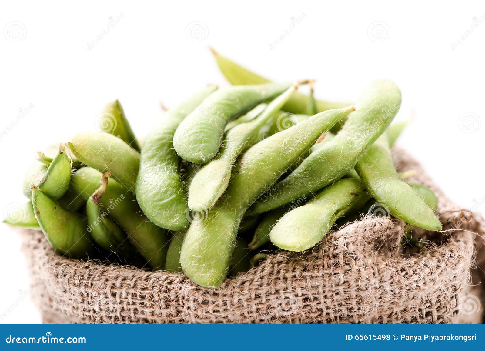 Green Soybean, the Pigeon Pea or Genus Cajanus. Stock Photo Image of