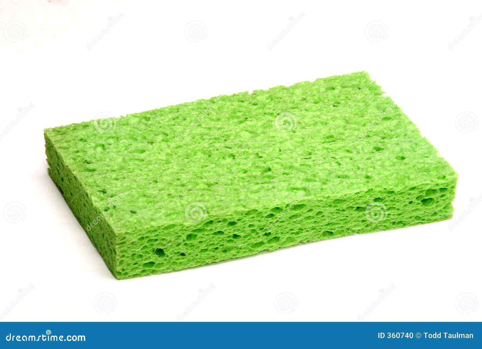 Green Sponge Stock Photo Image 360740