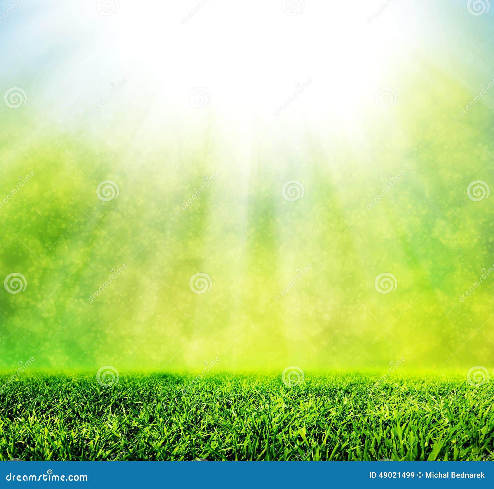 804 Hd Nature Blur Background Stock Photos - Free & Royalty-Free ...