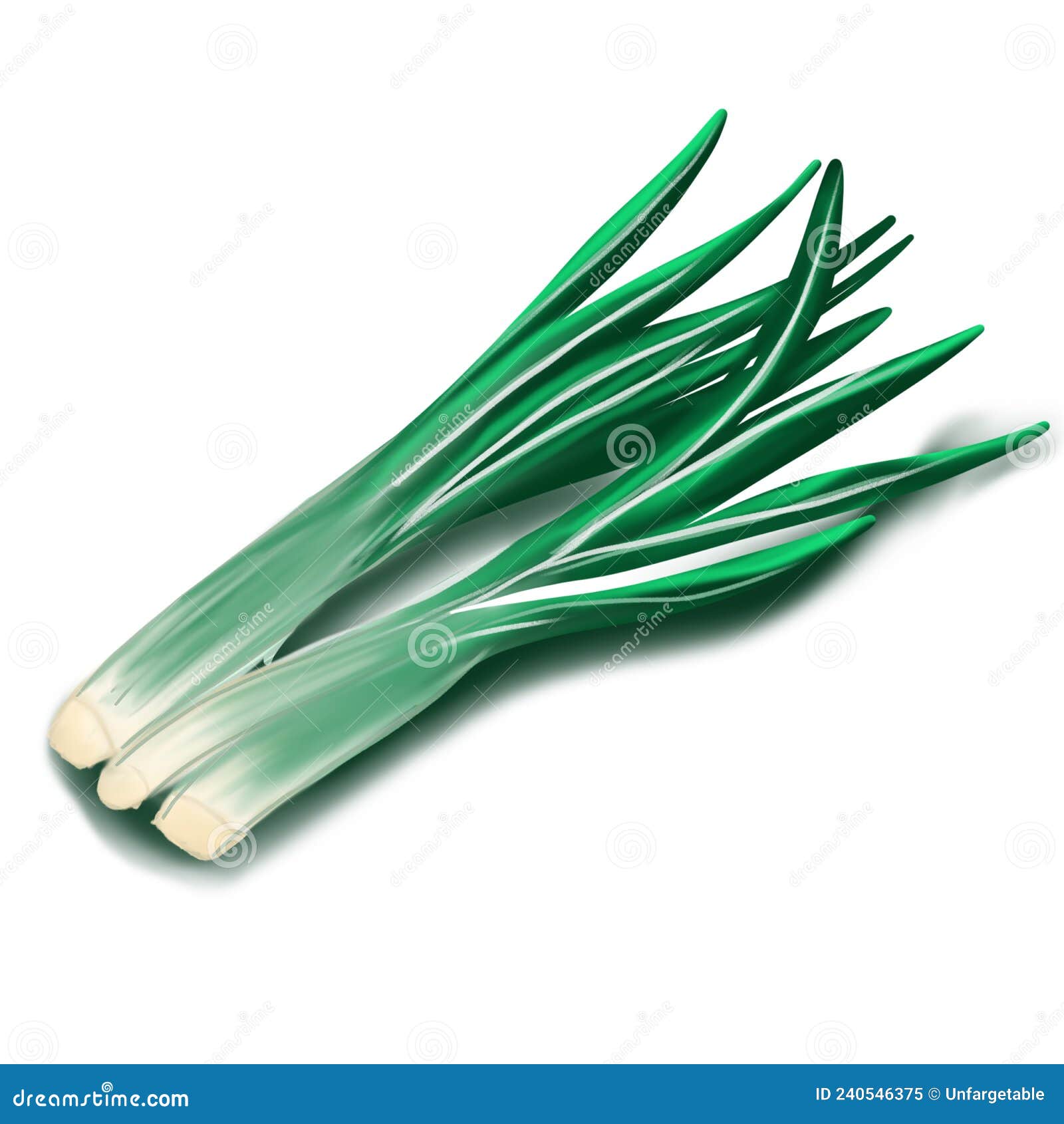 https://thumbs.dreamstime.com/z/green-spring-onions-isolated-white-background-vector-chopped-chives-illustration-fresh-cut-green-onion-green-spring-onions-240546375.jpg
