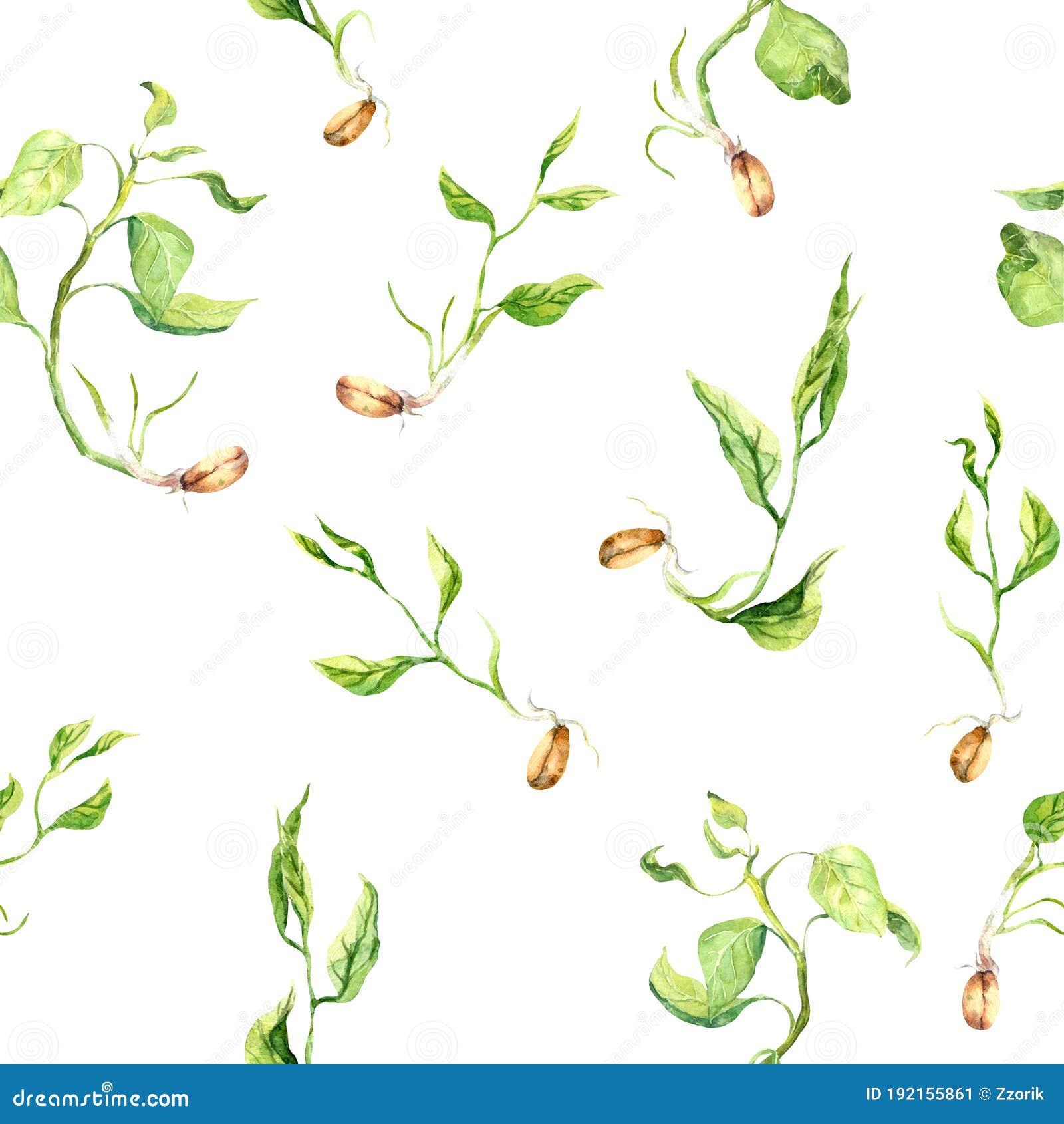 sprig and sprout sprig and sprout