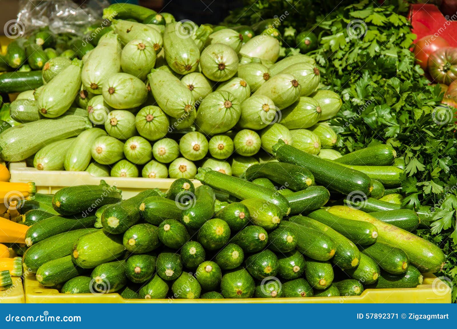 Green Squash at the Farm Market Stock Image Image of nutrition, diet