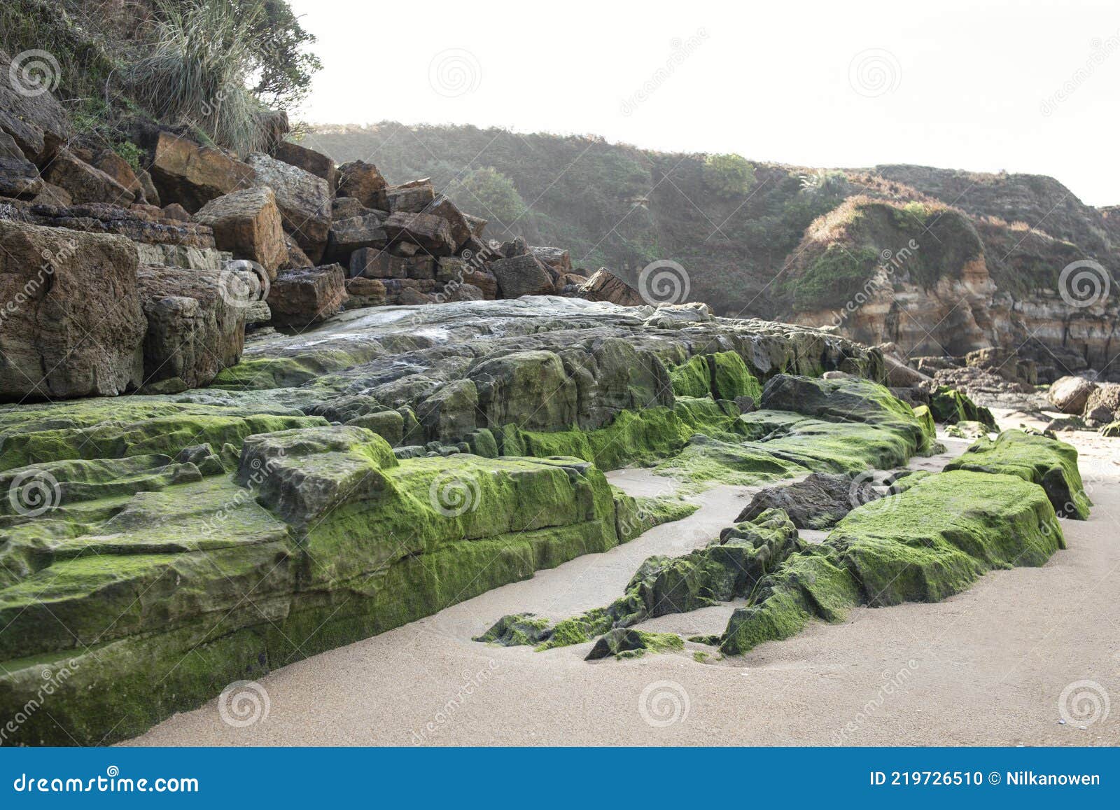 Green Stones on a Beach of the Sea Stock Photo Image of diving