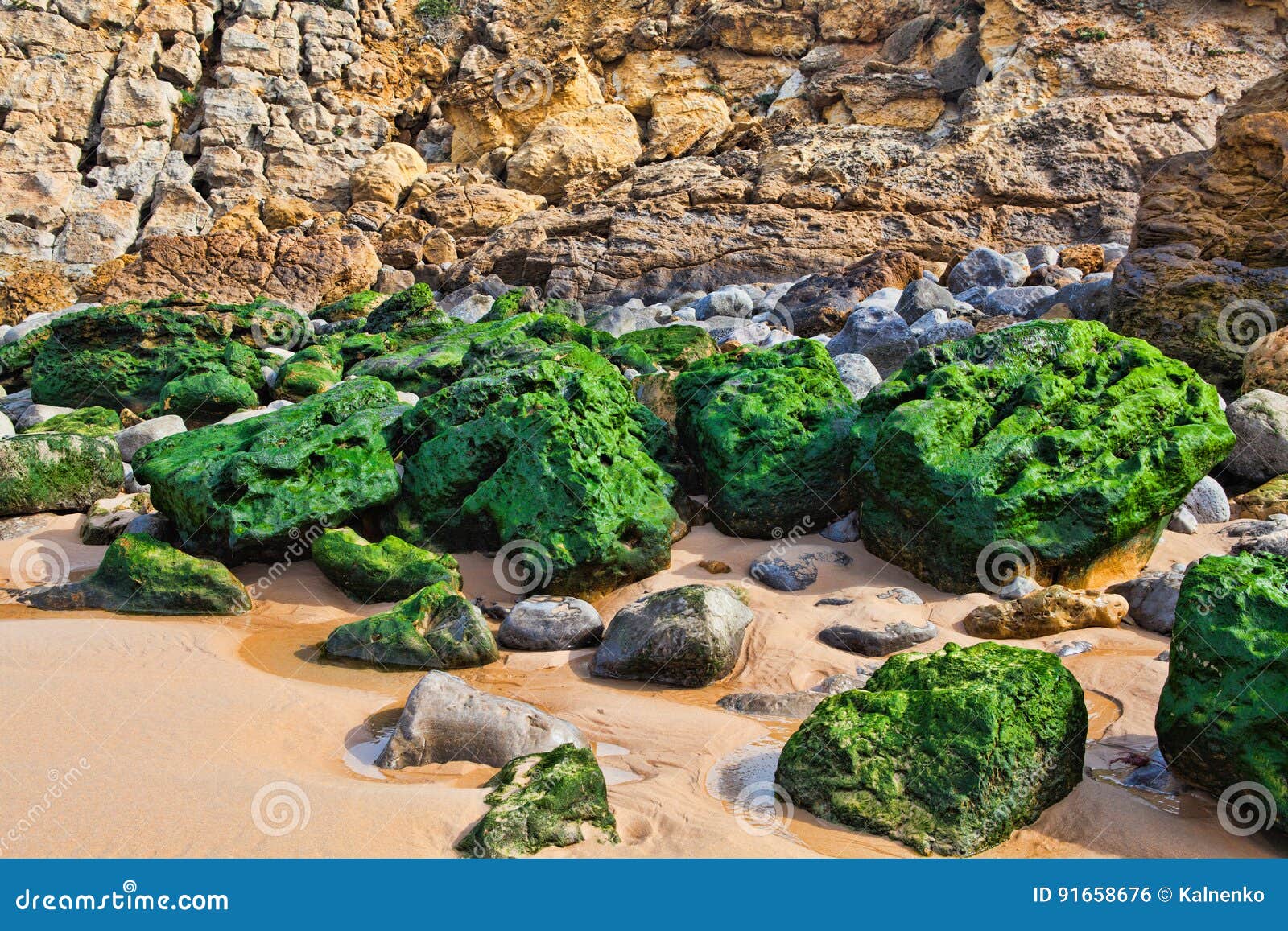 Green Stones on the Seashore Stock Photo Image of stones, exposure